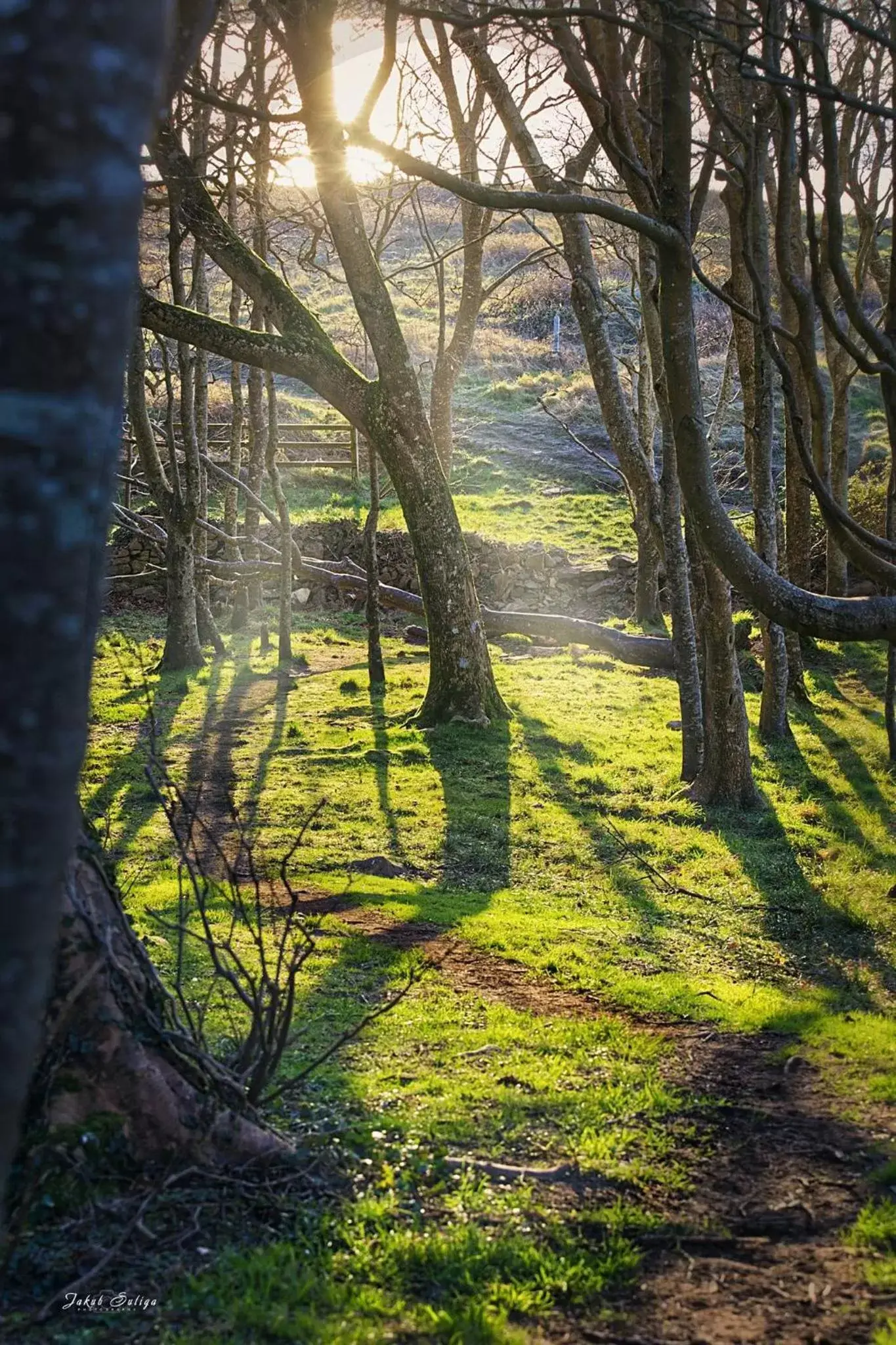 Spring in Westport Country Lodge Hotel