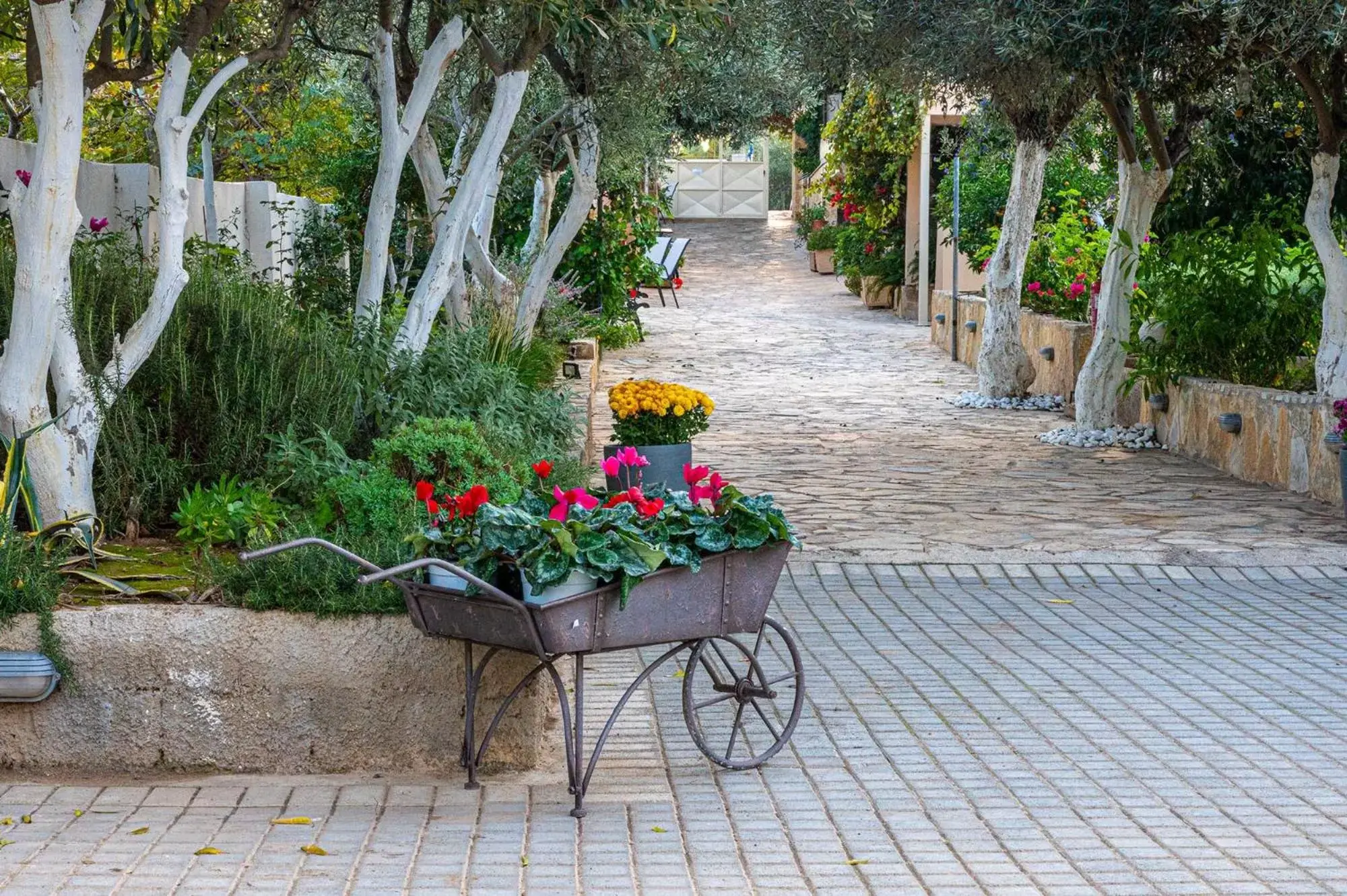 Garden view in Comfort Stay Airport Studios - FREE shuttle from the Athens airport