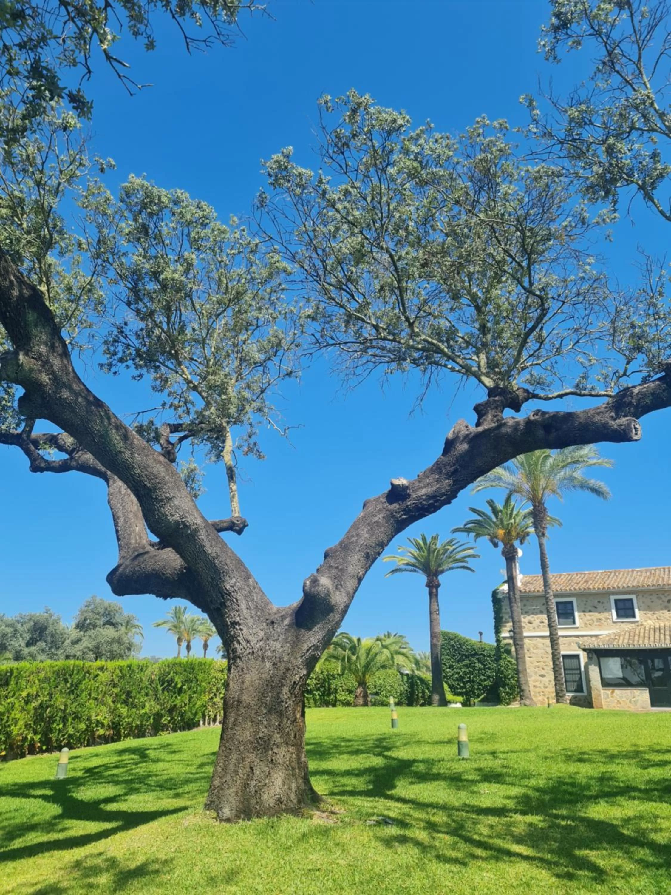 Spring, Garden in Alojamiento Rural Finca Barral