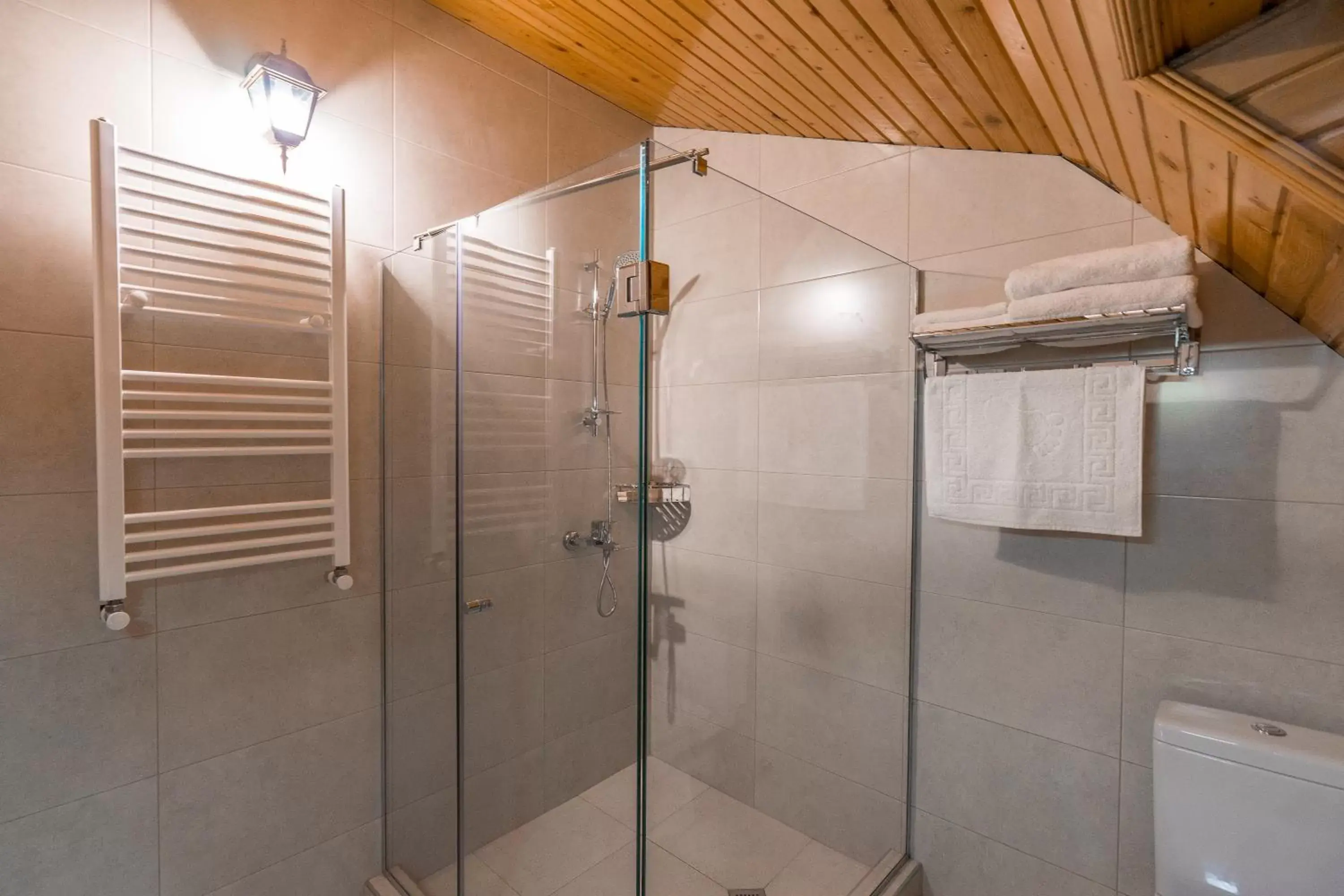 Shower, Bathroom in Hotel Imperial House