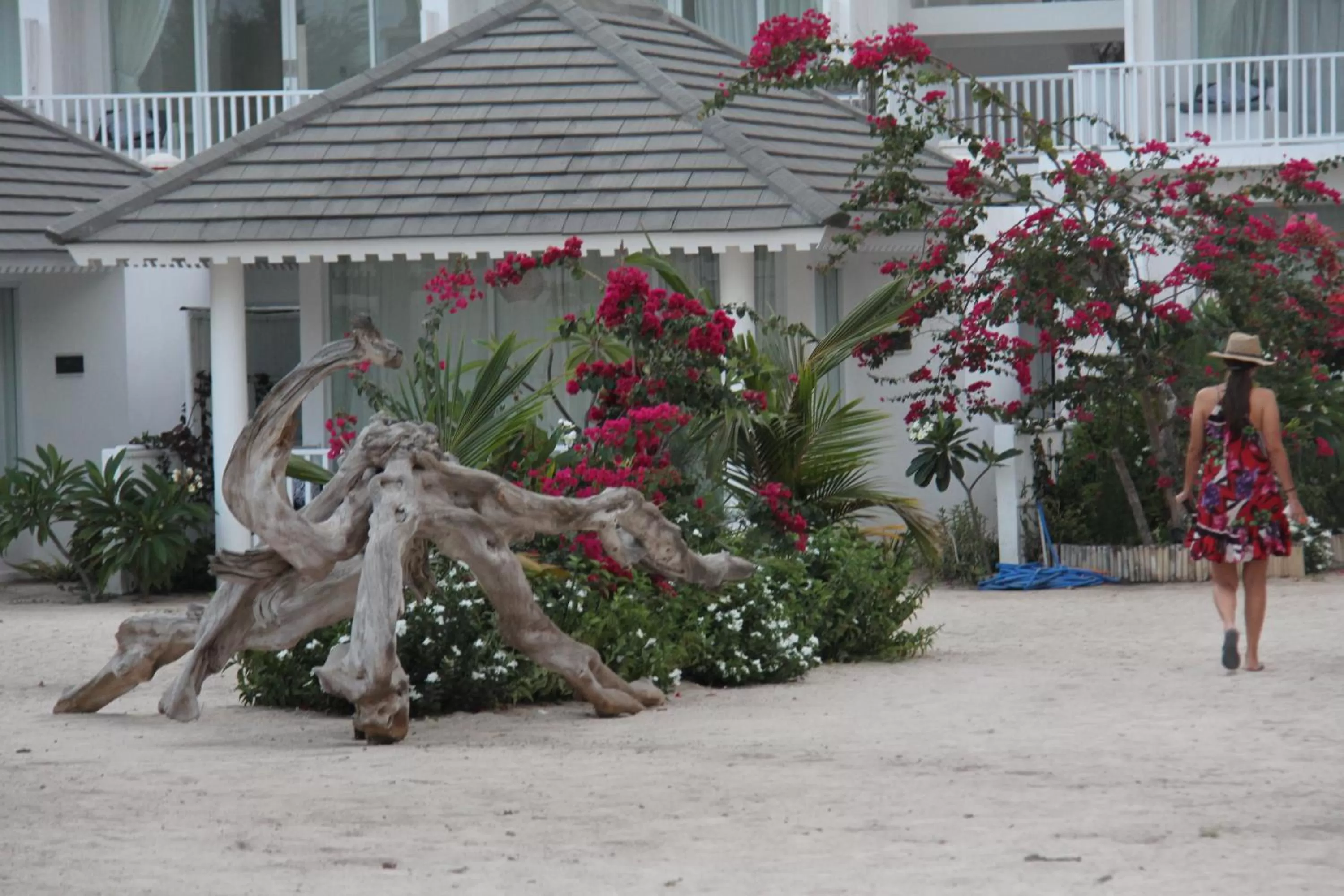 Garden in Seri Resort Gili Meno - Adults Only