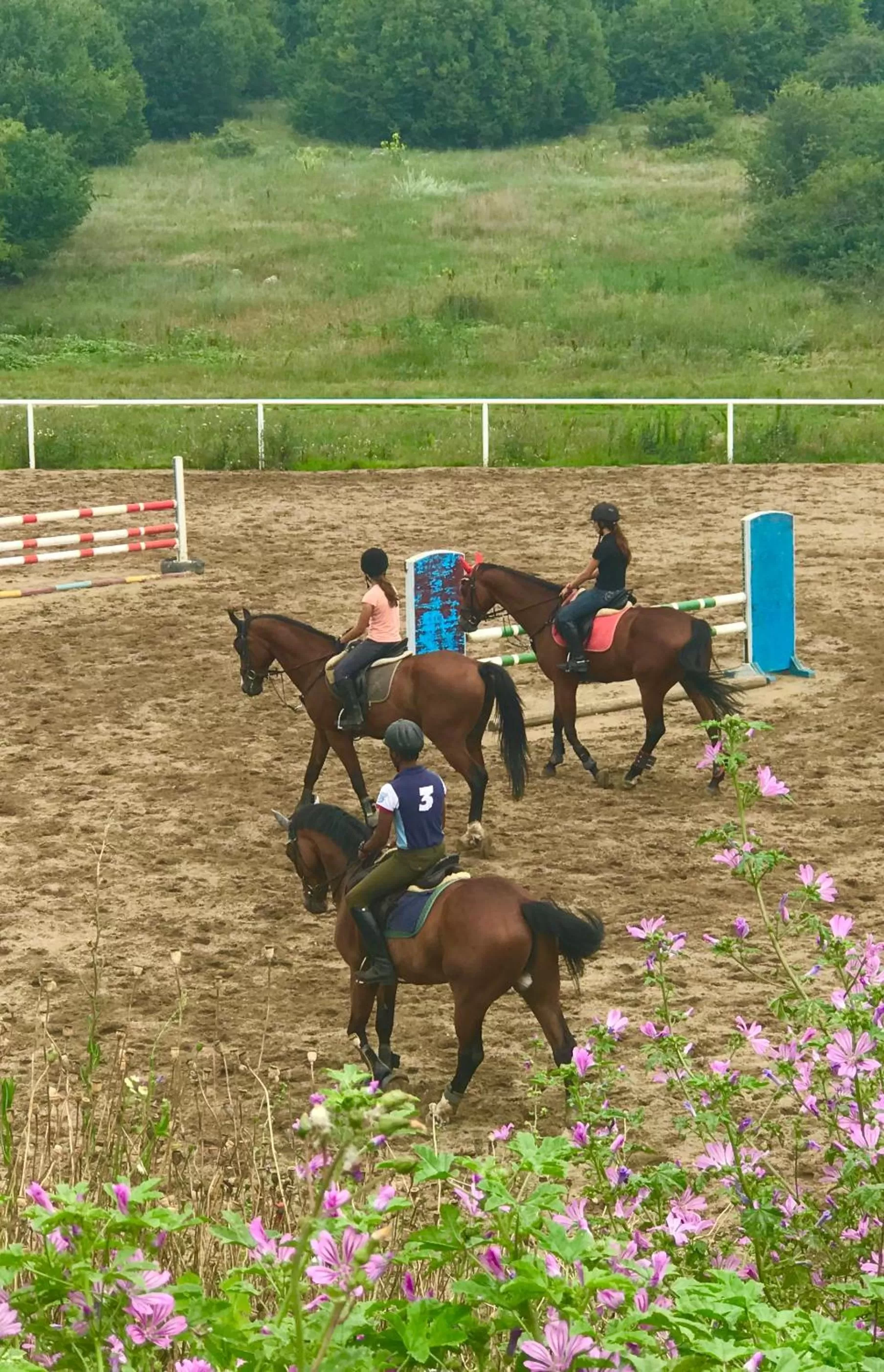 Horse-riding in RAYA Garden - Park Hotel & Winery