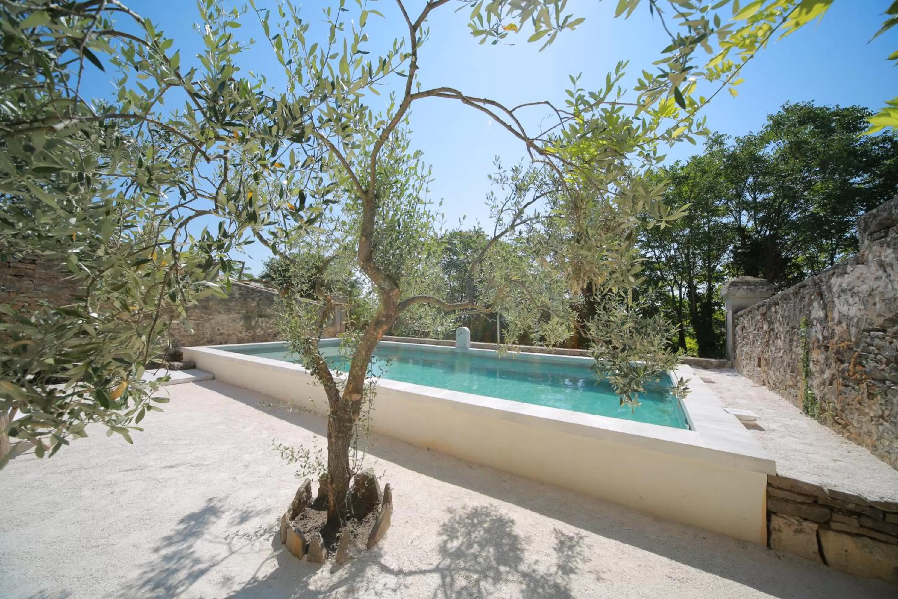 Pool view in Les Yourtes de Provence