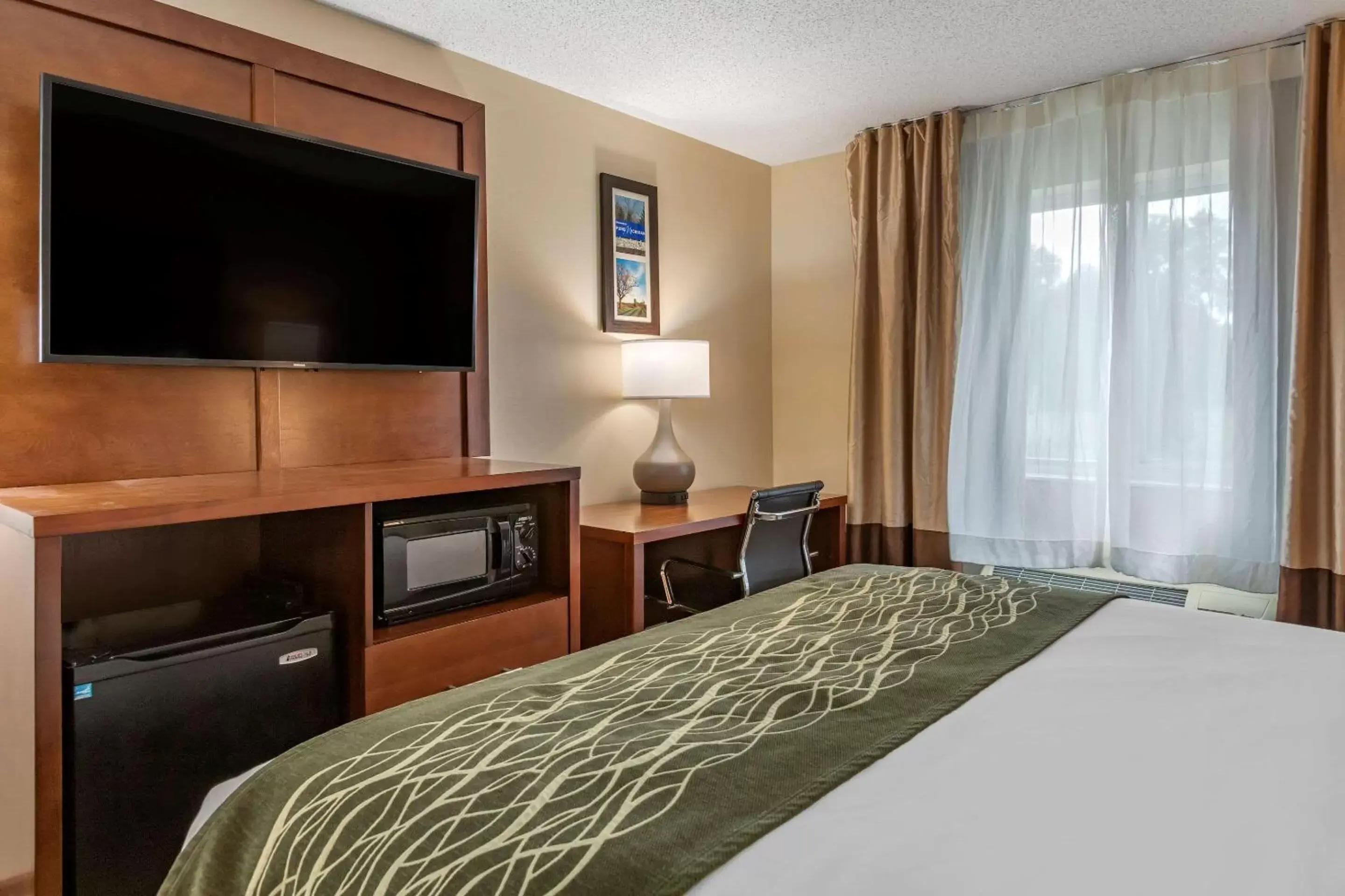 Photo of the whole room, TV/Entertainment Center in Comfort Inn & Suites Dimondale