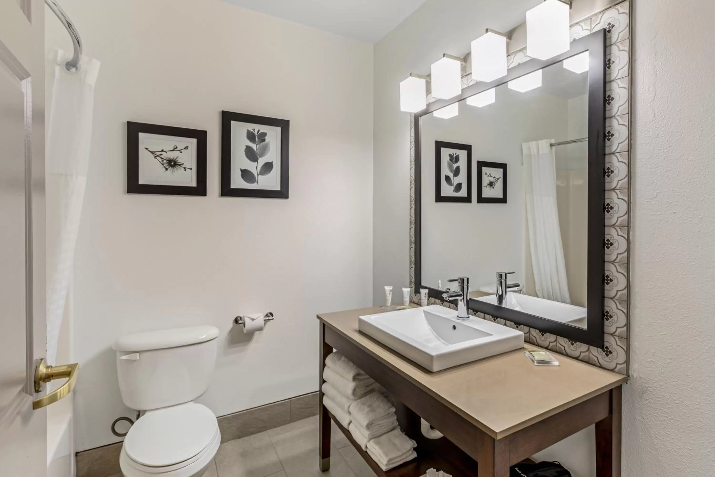 Bathroom in Country Inn & Suites by Radisson, Elk Grove Village-Itasca