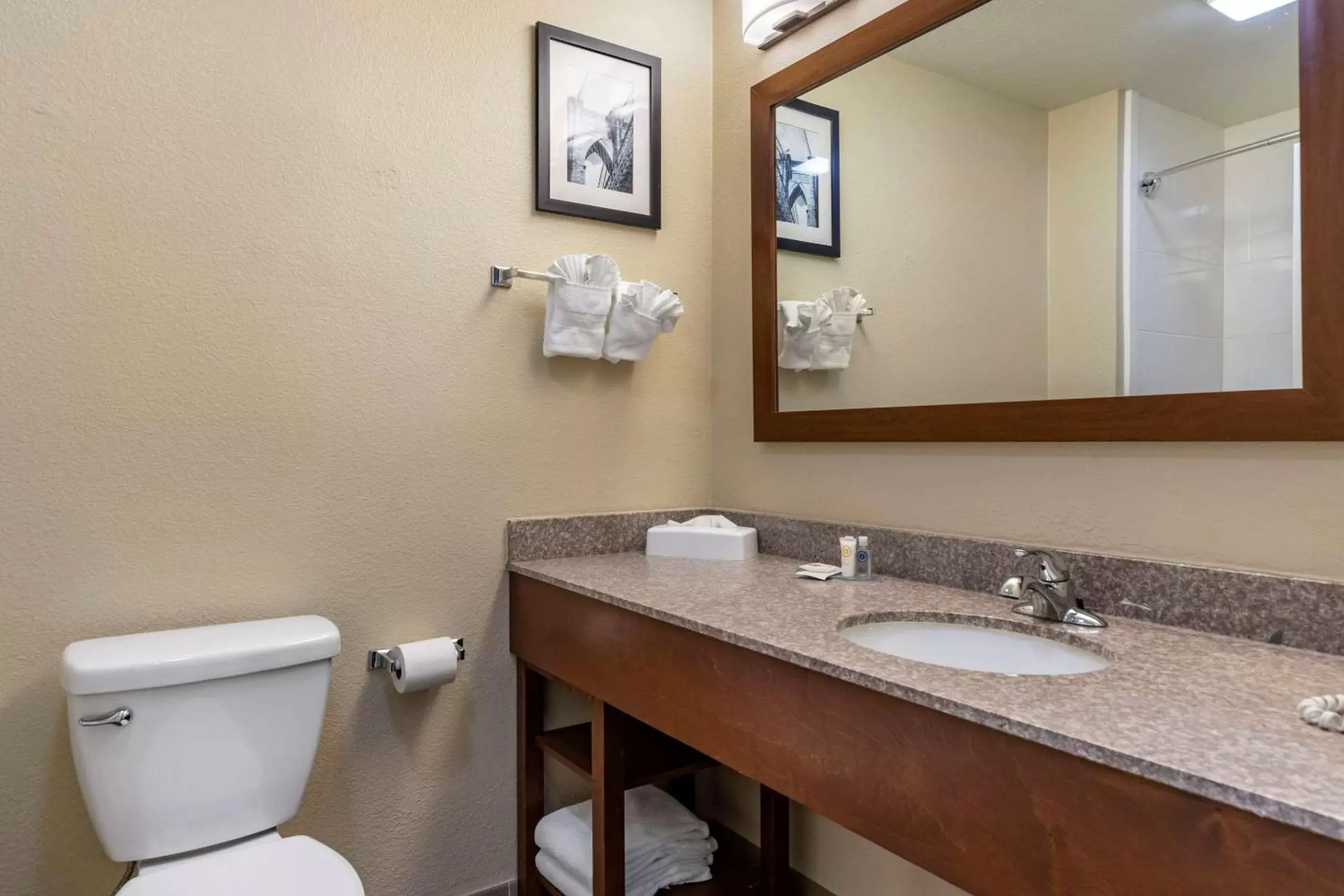 Photo of the whole room, Bathroom in Comfort Inn & Suites Texas Hill Country
