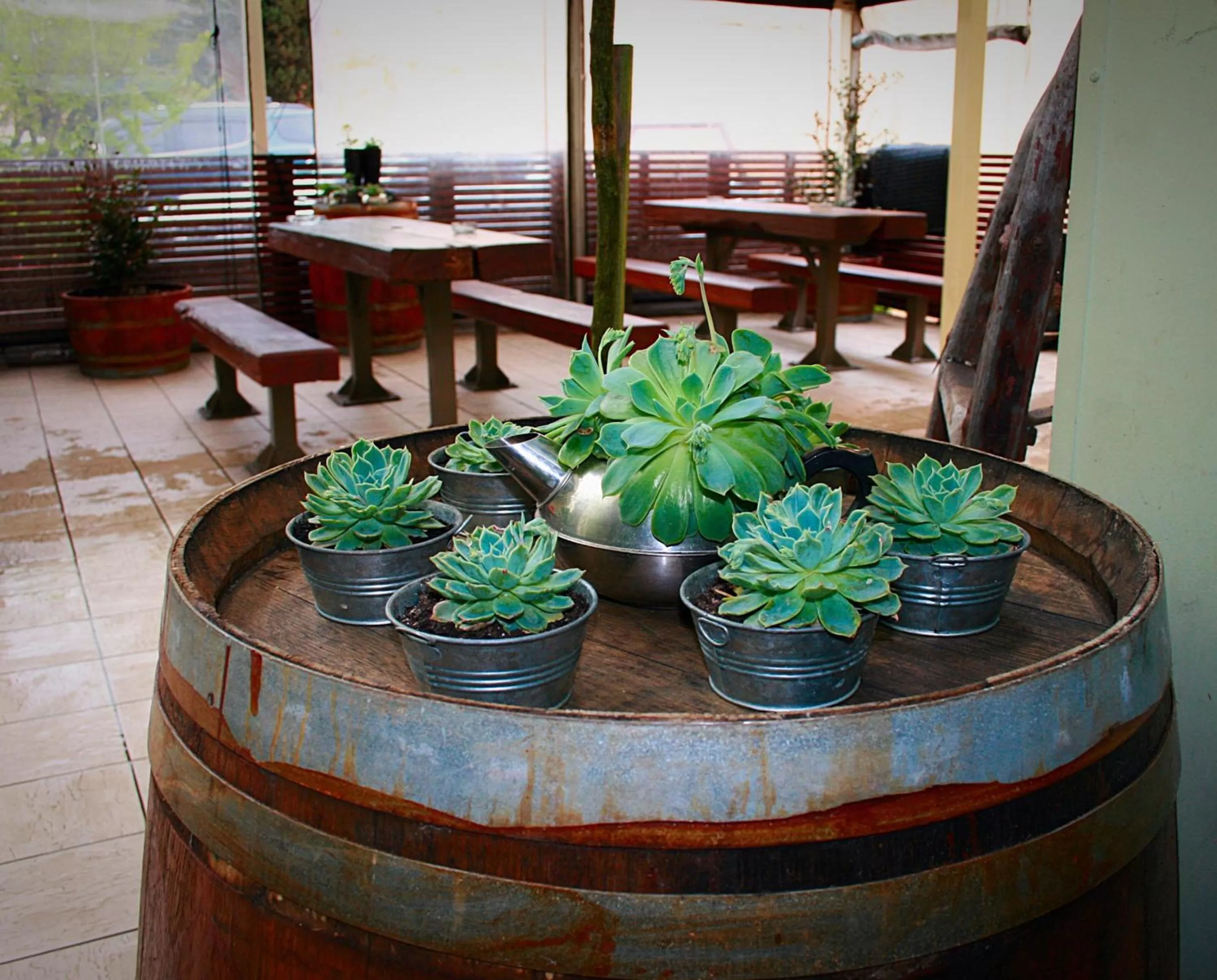 Garden in Southern Railway Hotel Goulburn