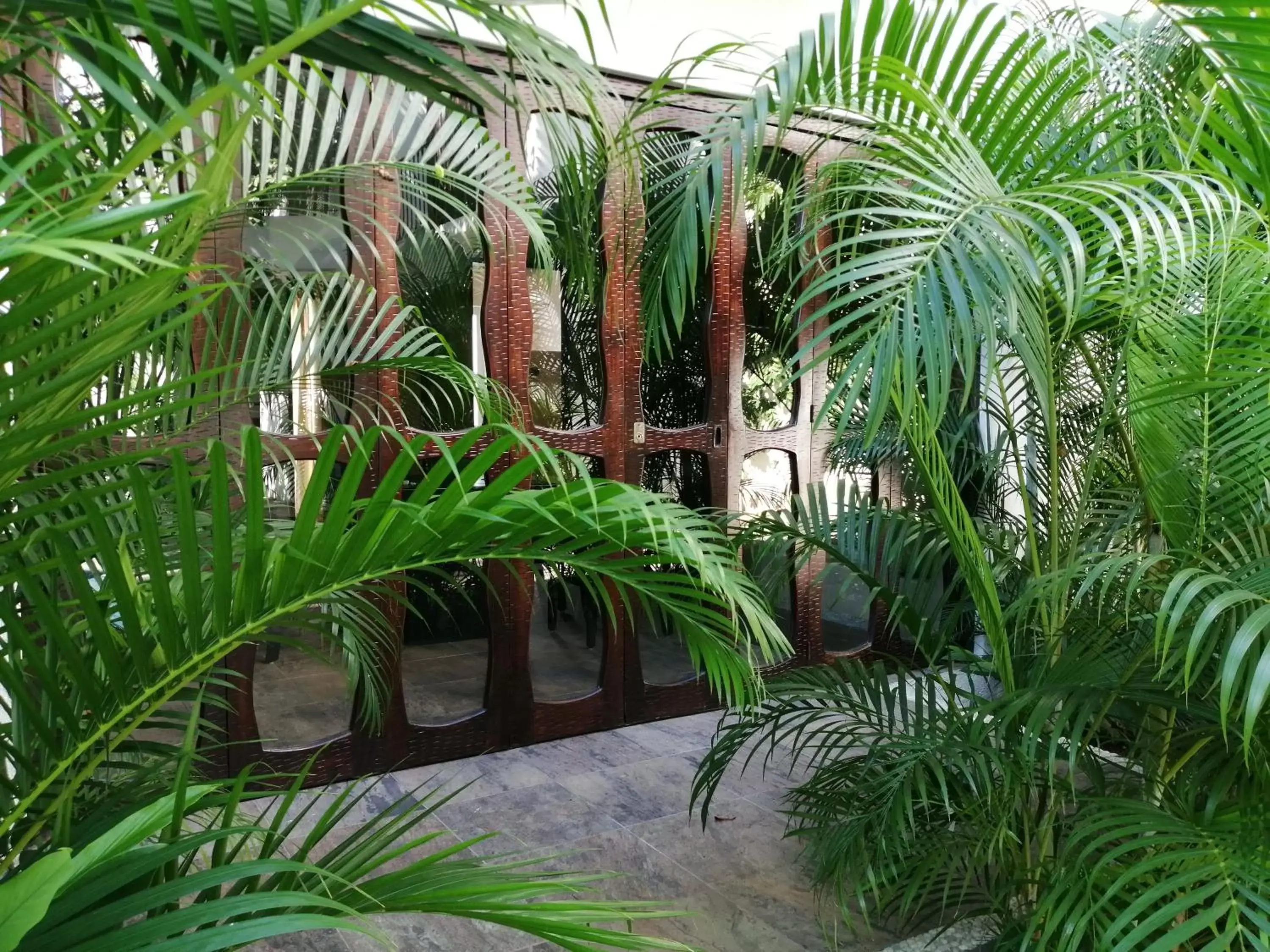 Patio in Ceiba Studios