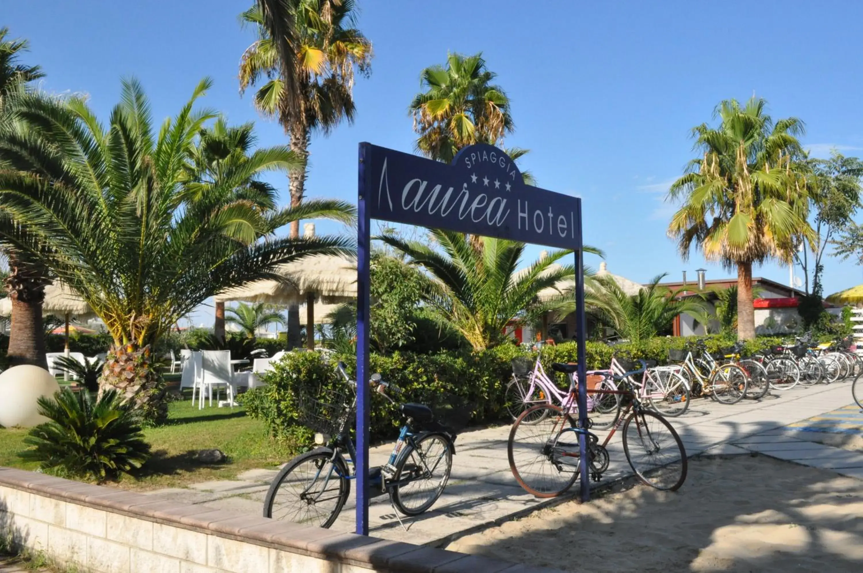 Beach in Aurea Hotel