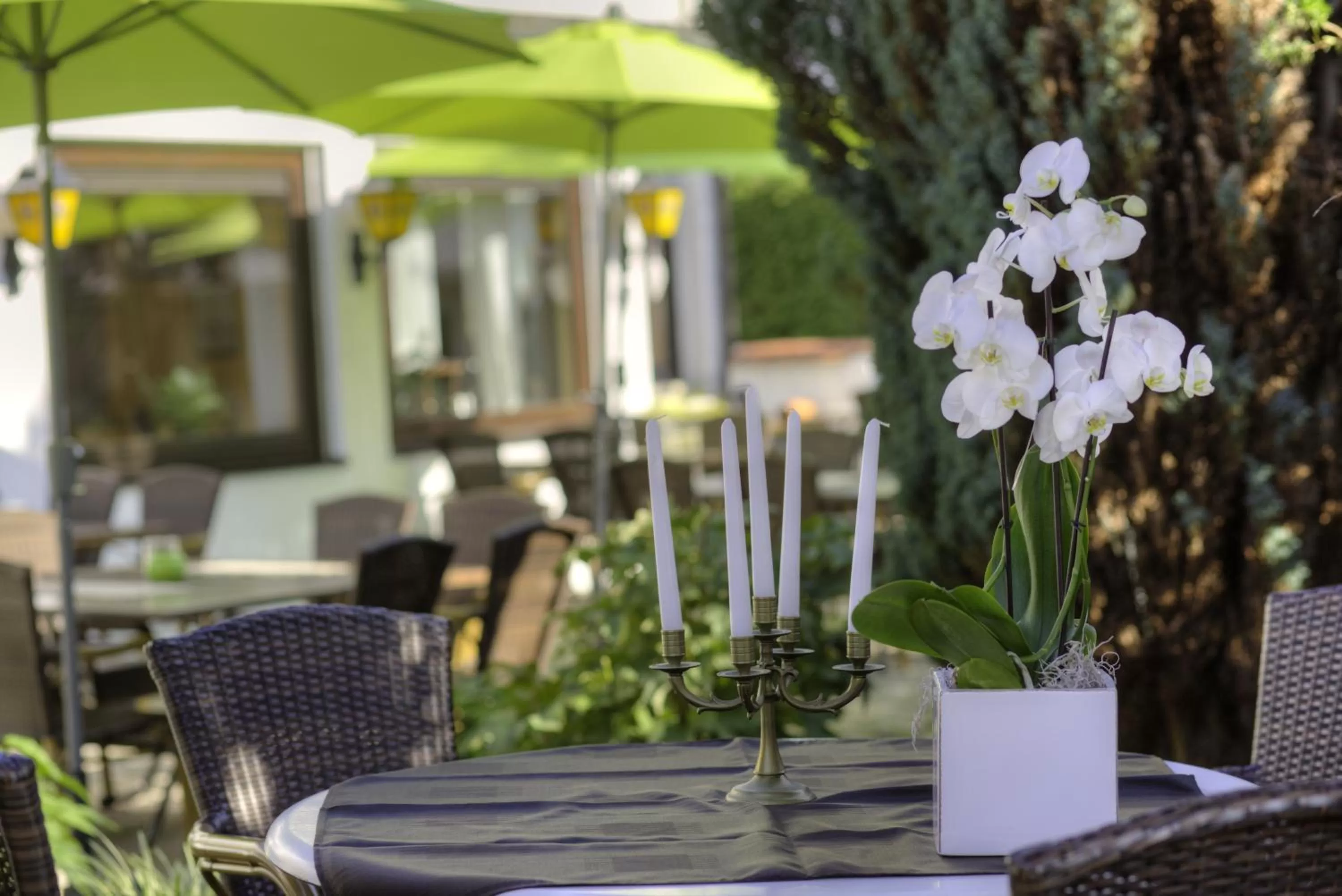 Balcony/Terrace in Rammersweier Hof
