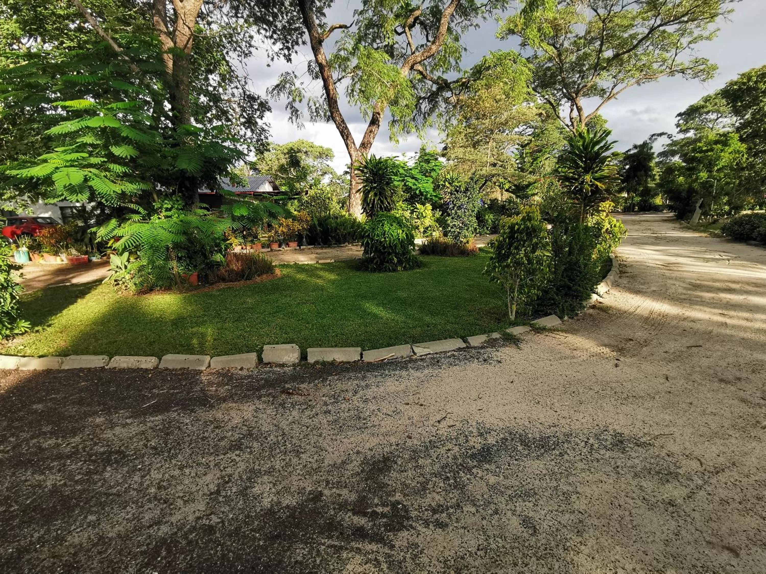 Garden in Happy Forest B&B