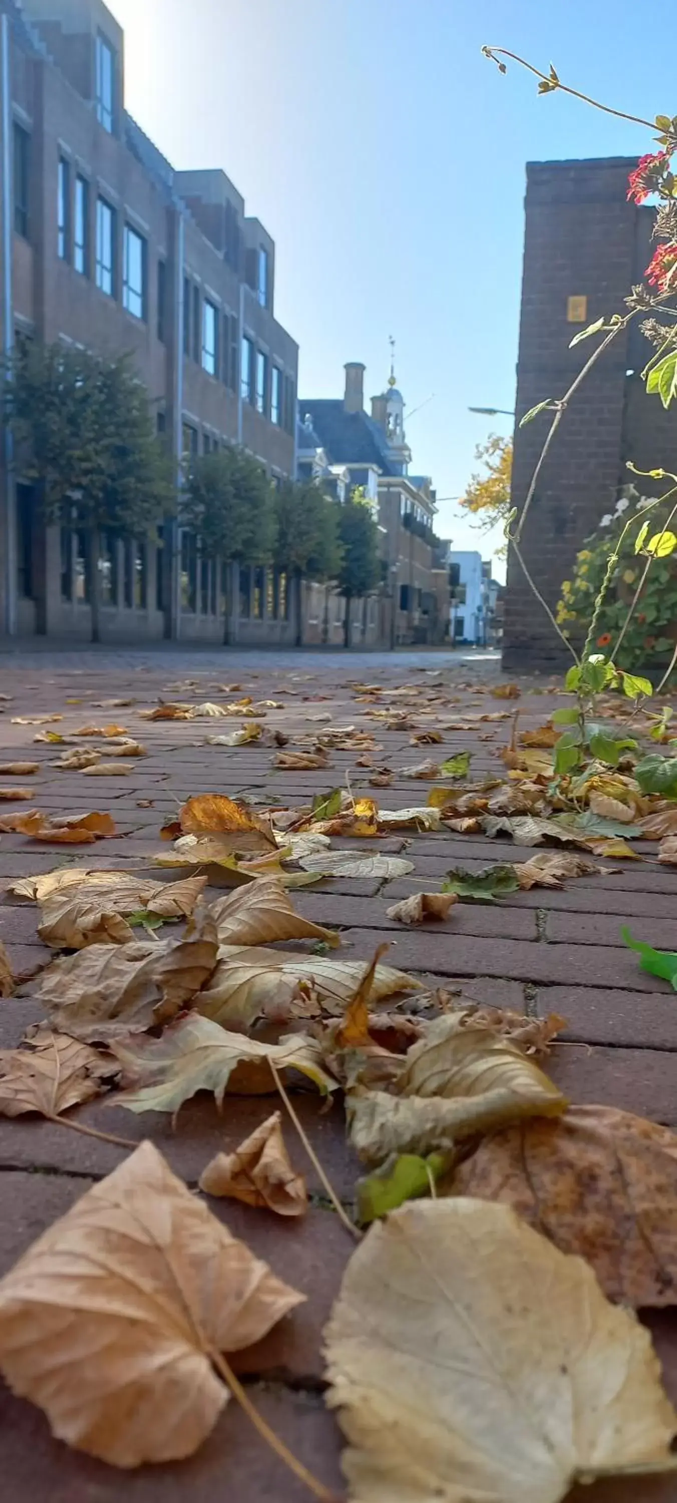 Neighborhood in Boutique Hotel De Oude Veste