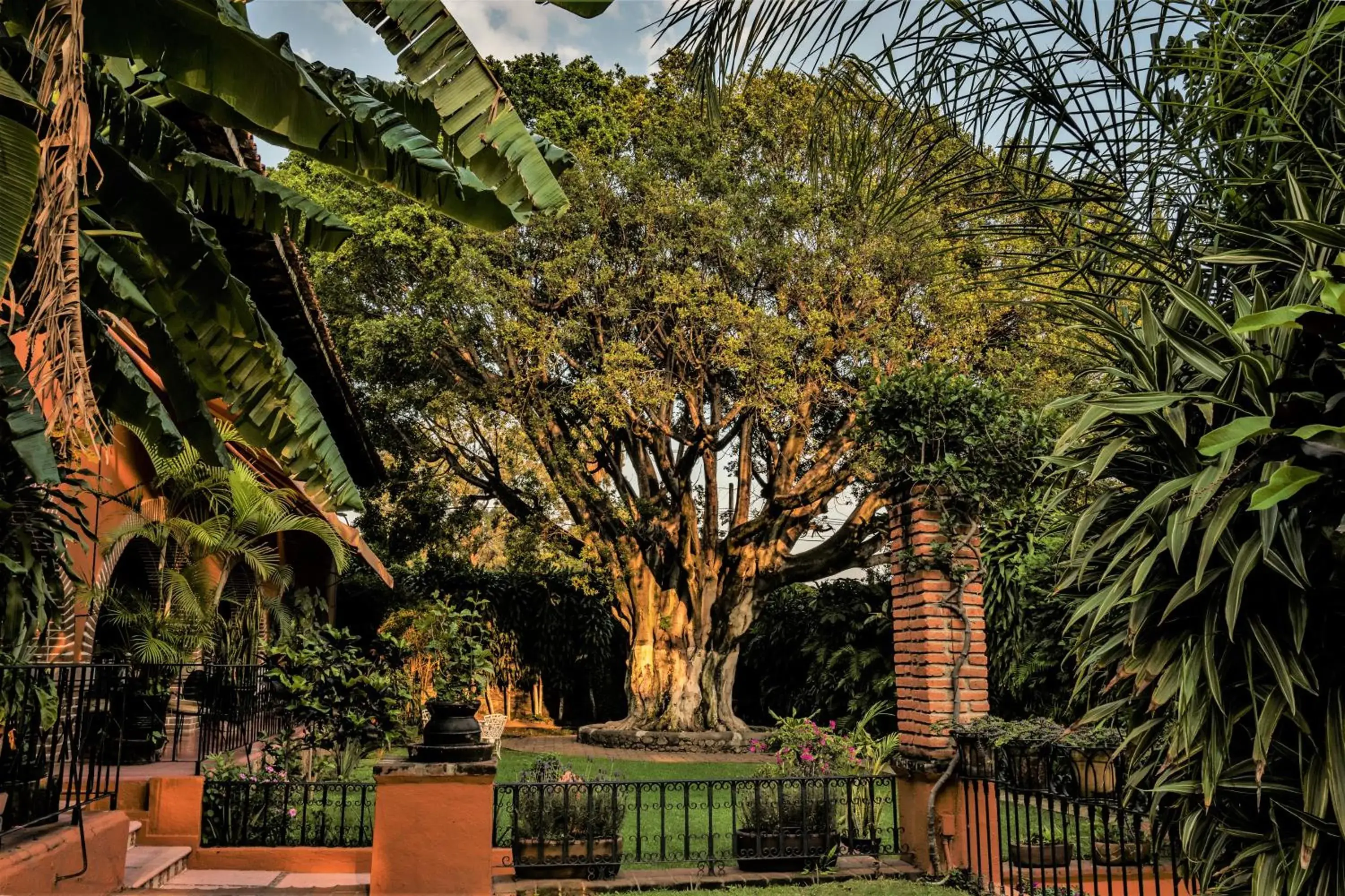 Patio, Garden in San Angelo