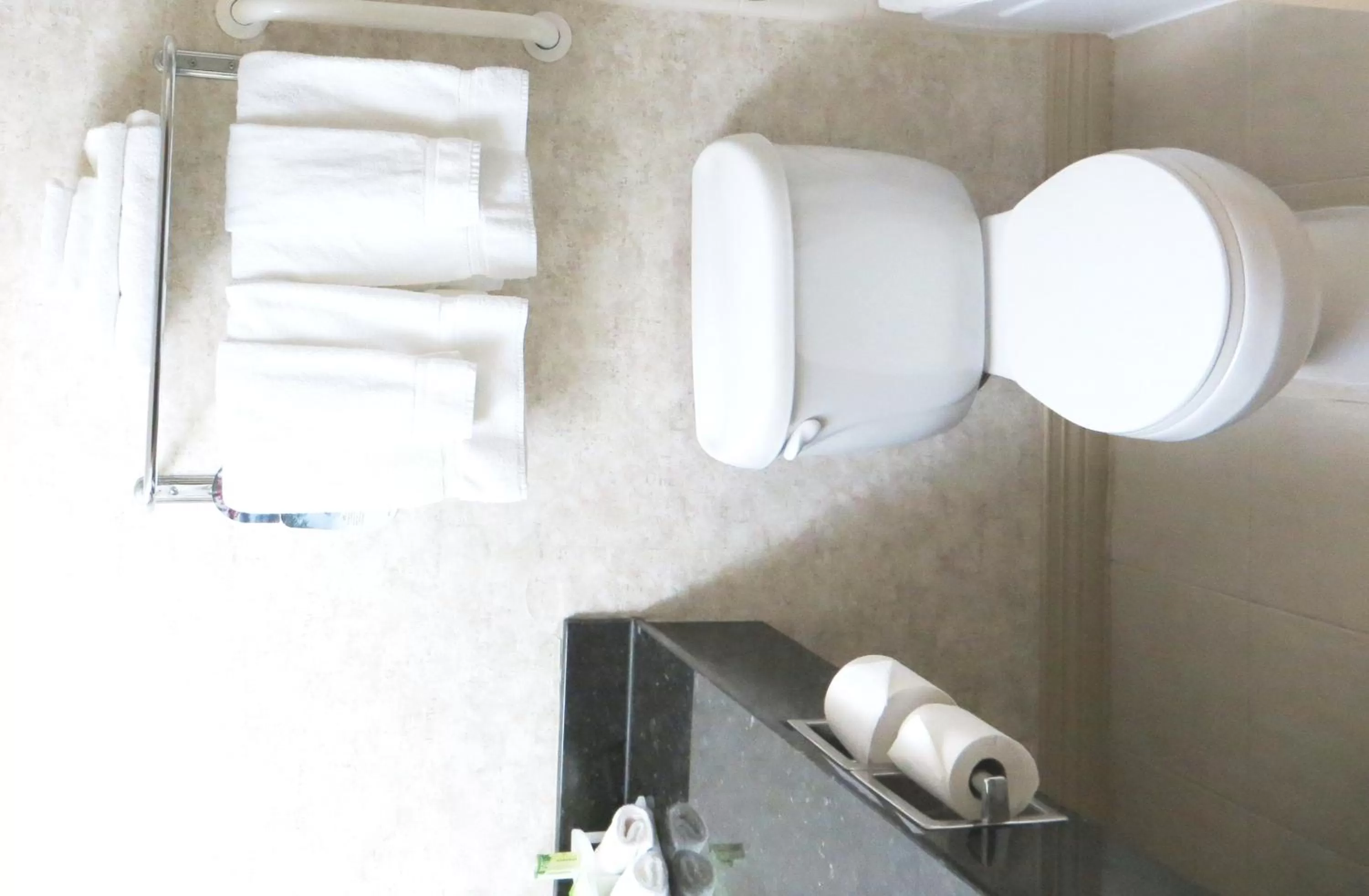 Bathroom in Holiday Inn Express and Suites Thomasville by IHG