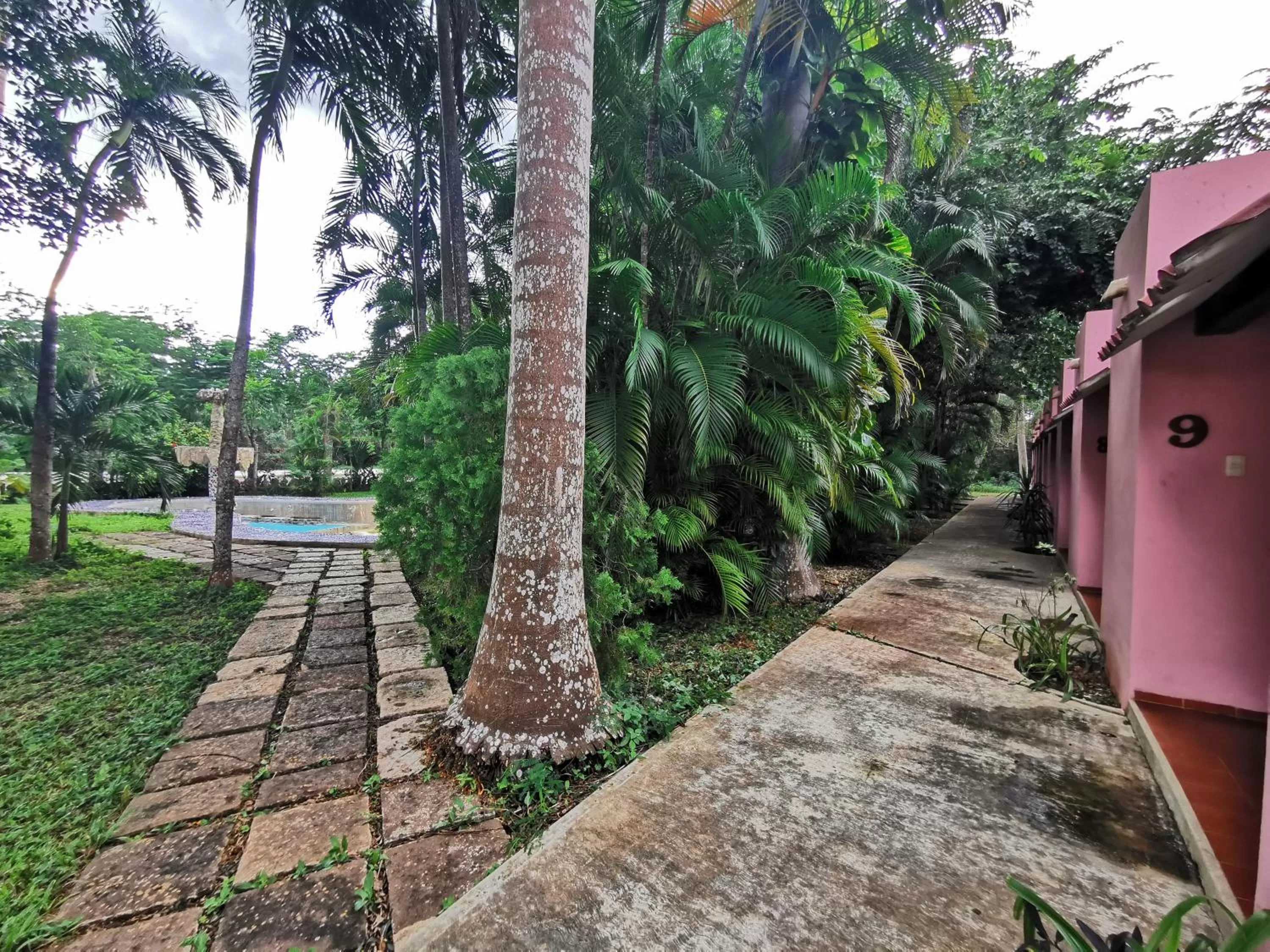 Garden view in Hotel Doralba Inn Chichen