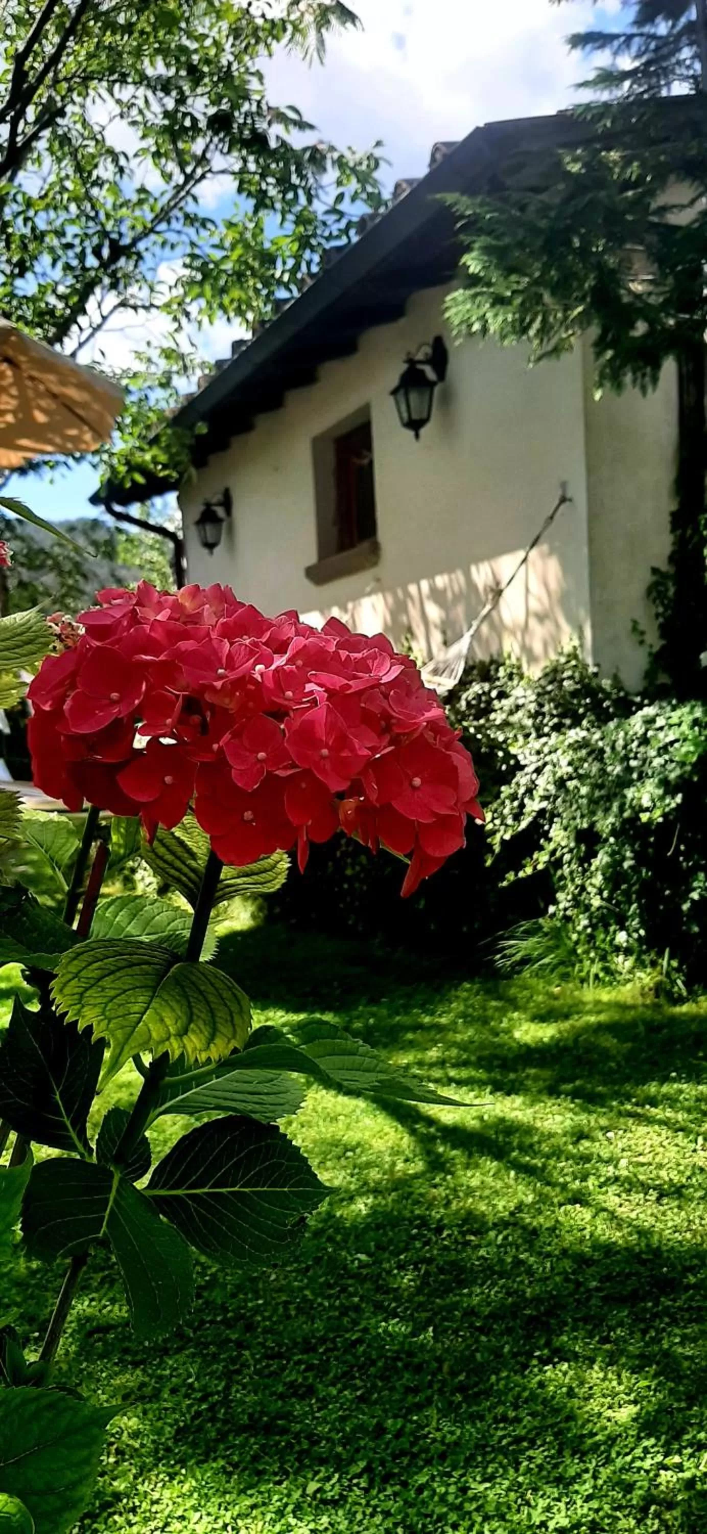 Garden, Property Building in B&B degli Allori