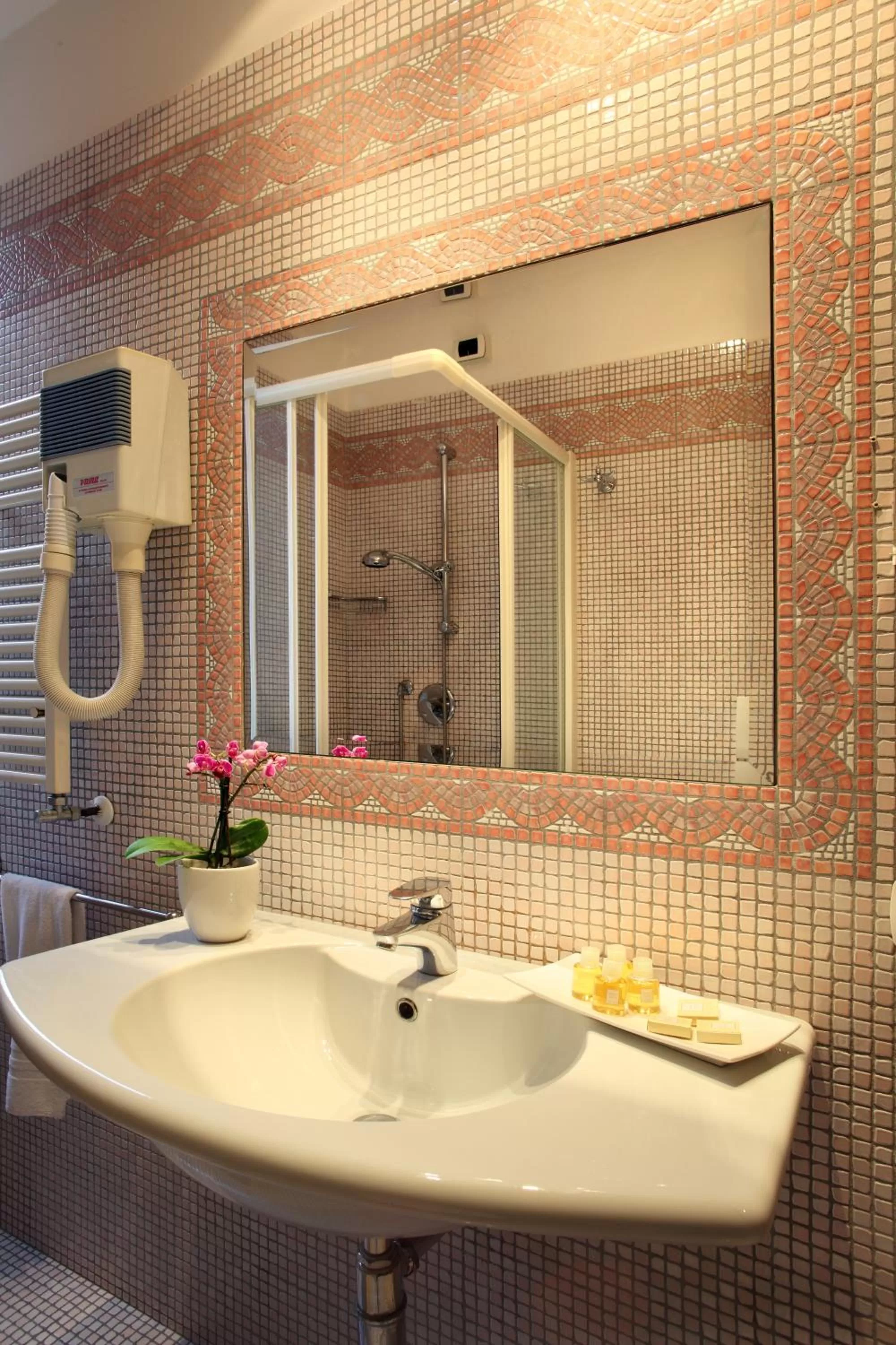 Bathroom in Hotel Serena srl