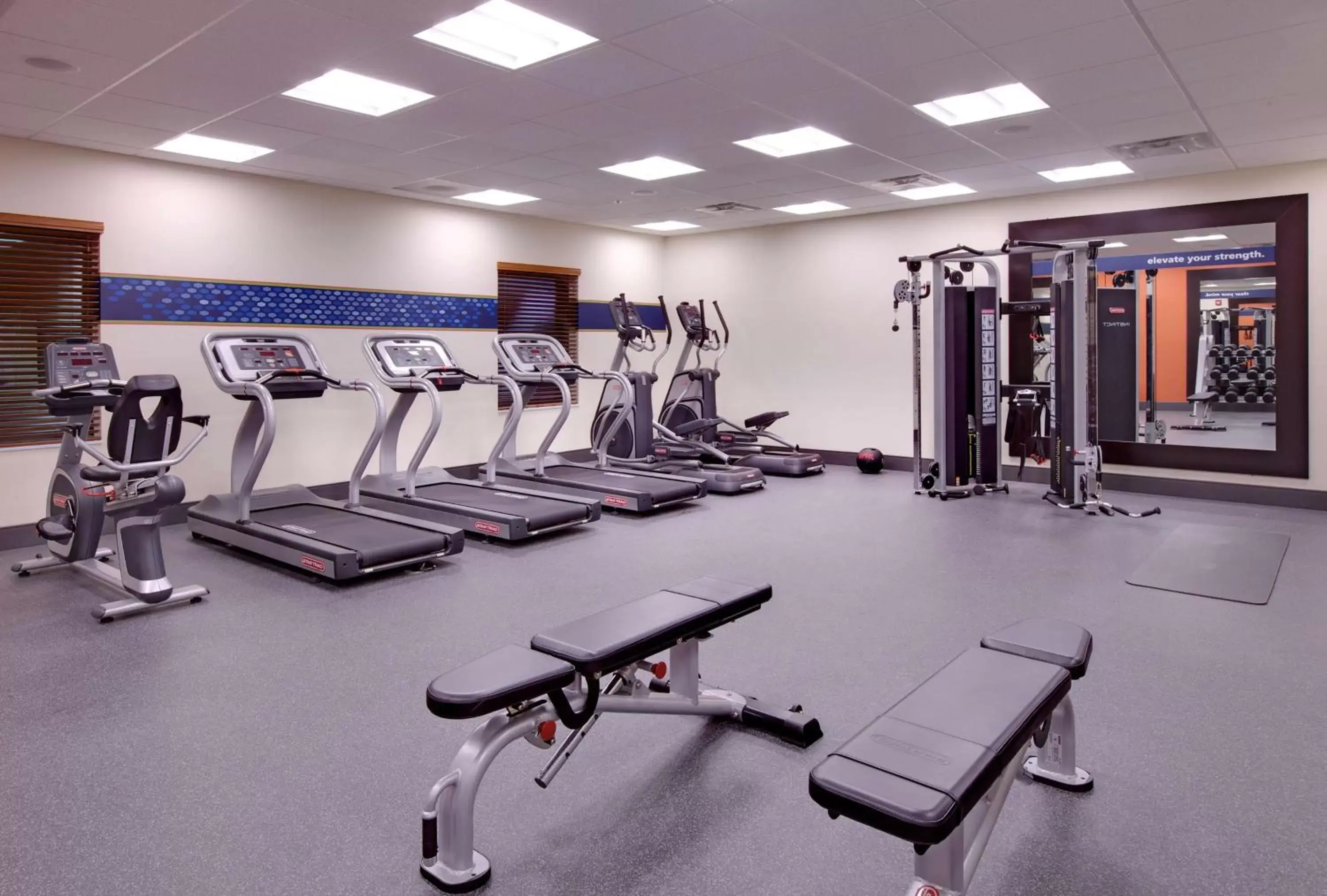 Fitness centre/facilities, Fitness Center/Facilities in Hampton Inn and Suites Snyder