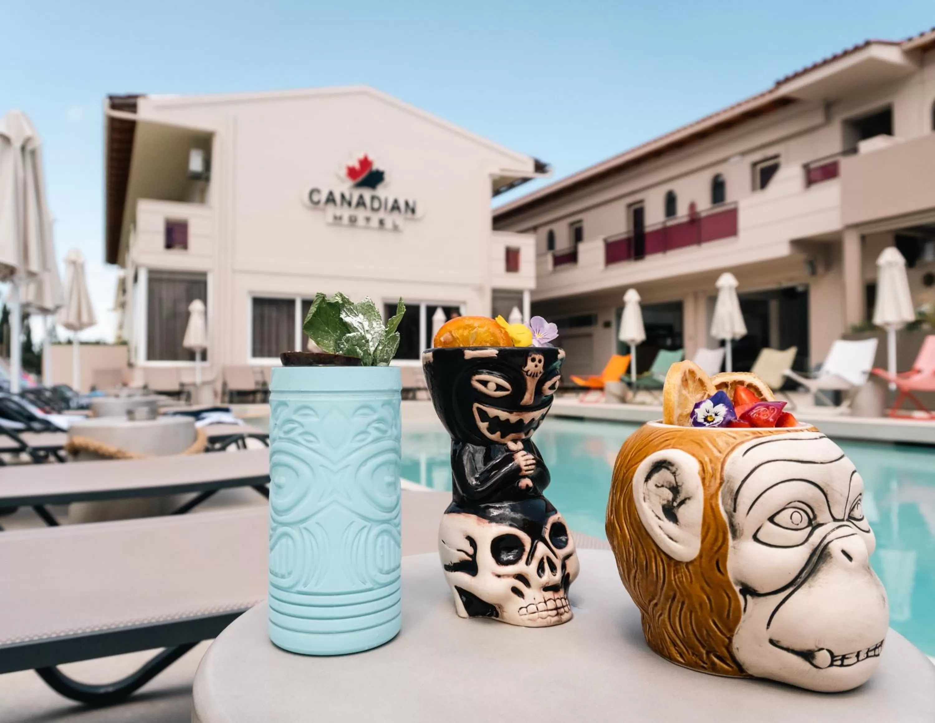 Lounge or bar in Canadian Hotel