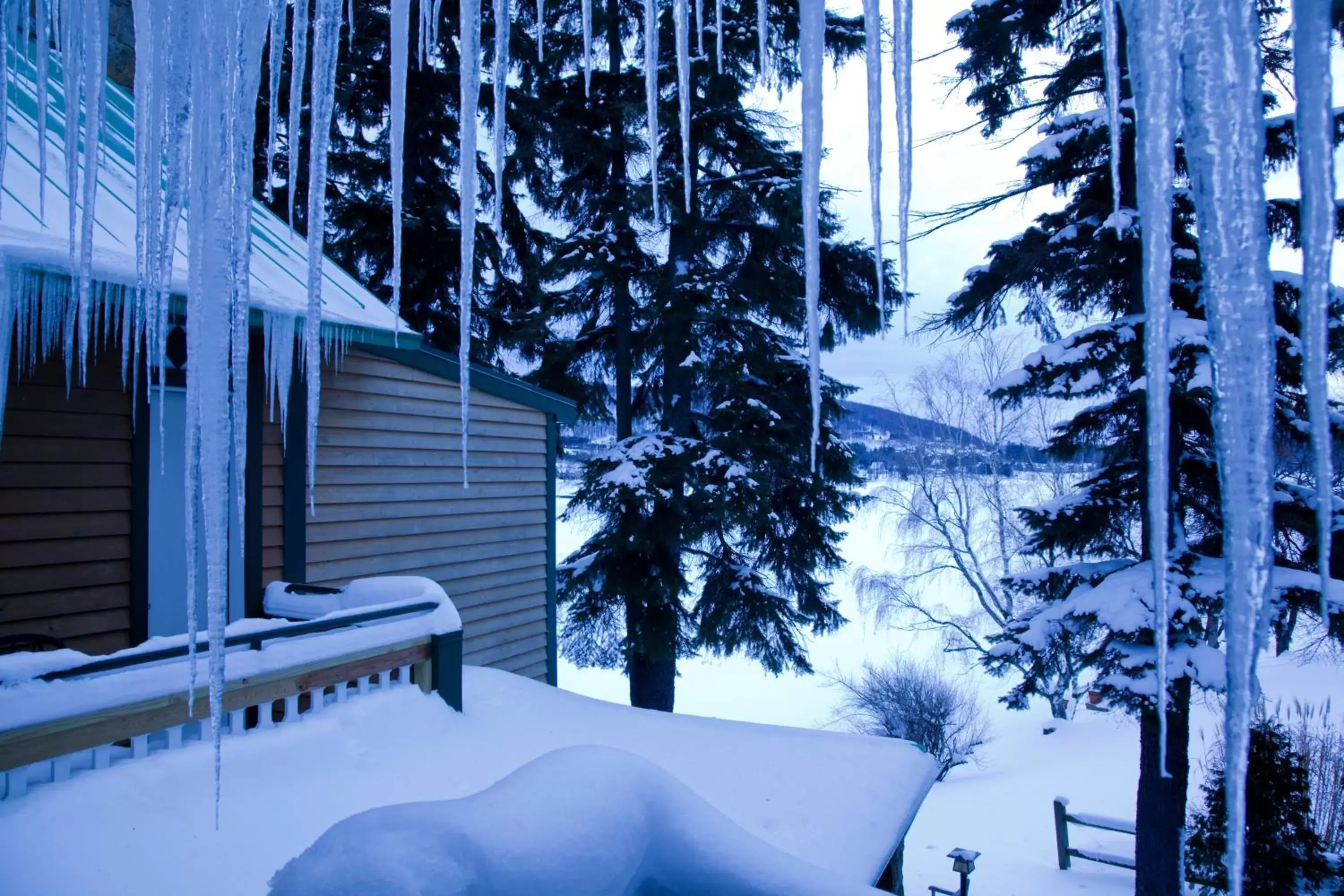 Winter in Lake Pointe Inn