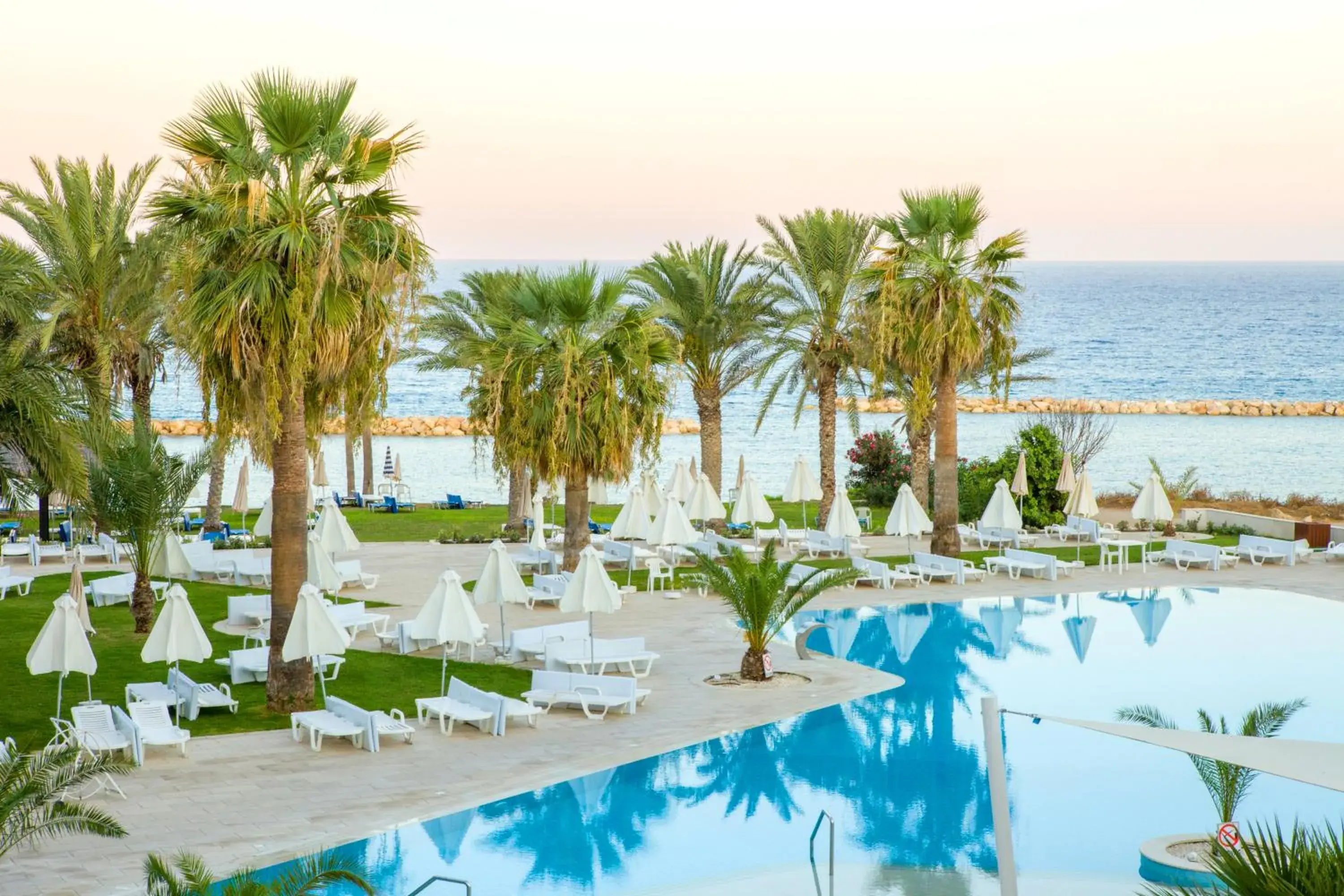 Garden, Swimming Pool in Venus Beach Hotel