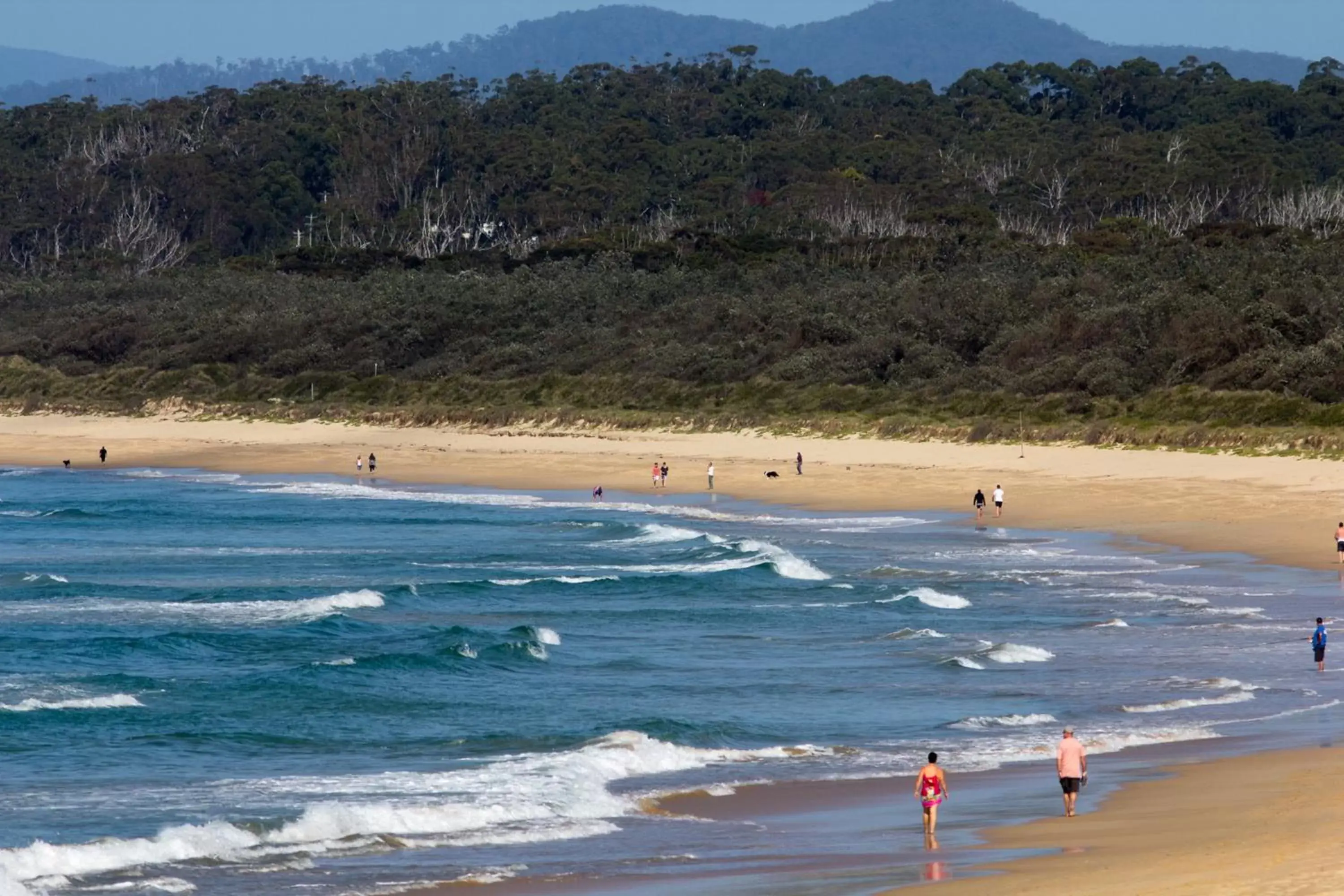 Fishing, Beach in Sails Luxury Apartments Merimbula