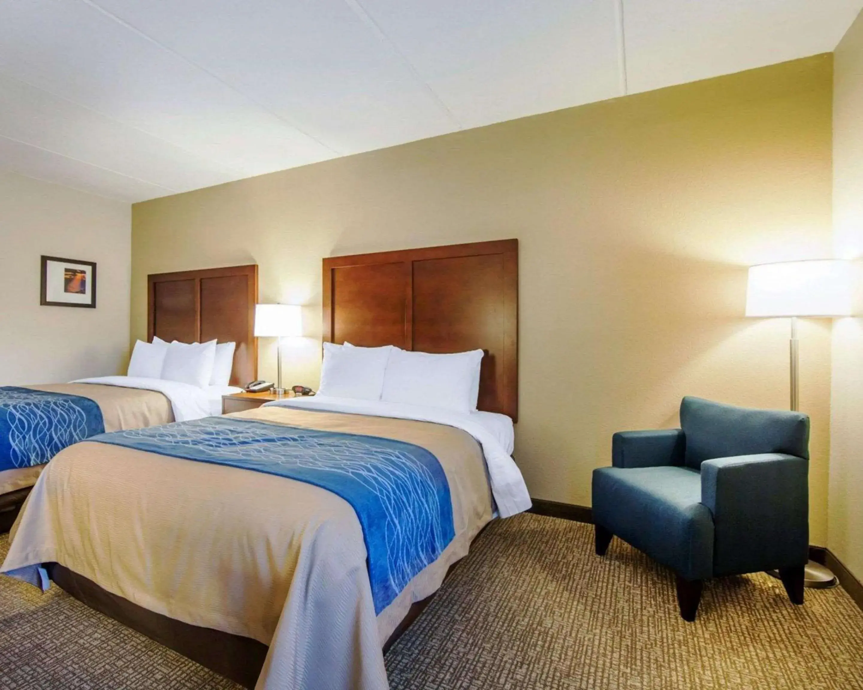 Photo of the whole room, Bed in Comfort Inn at Royal Blue