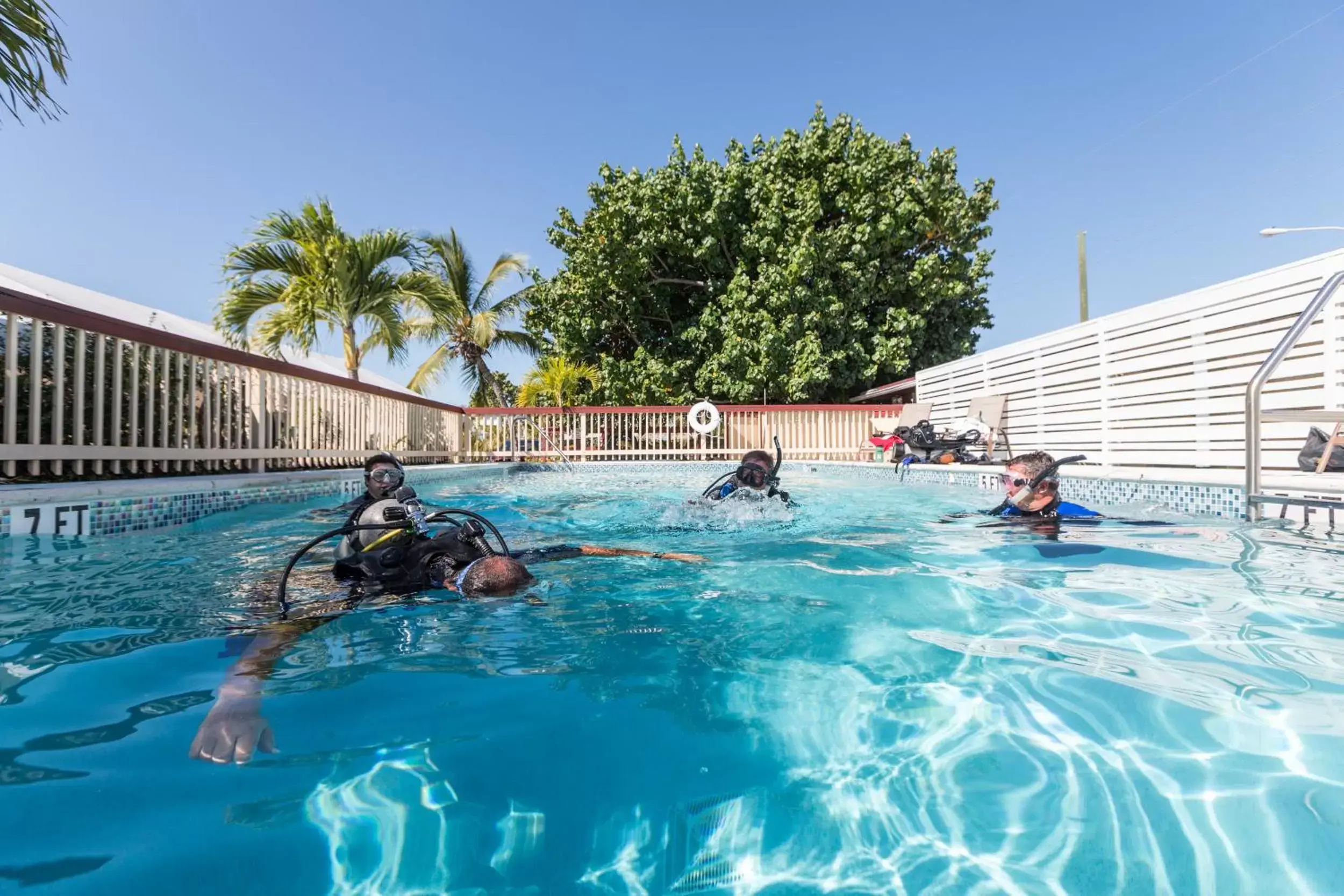 Swimming Pool in Creekside Inn Islamorada