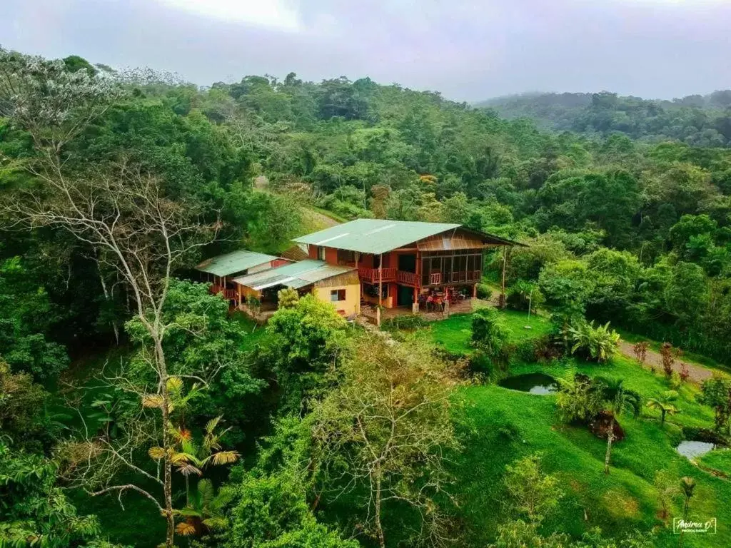 Property Building in Birds & Breakfast Costa Rica