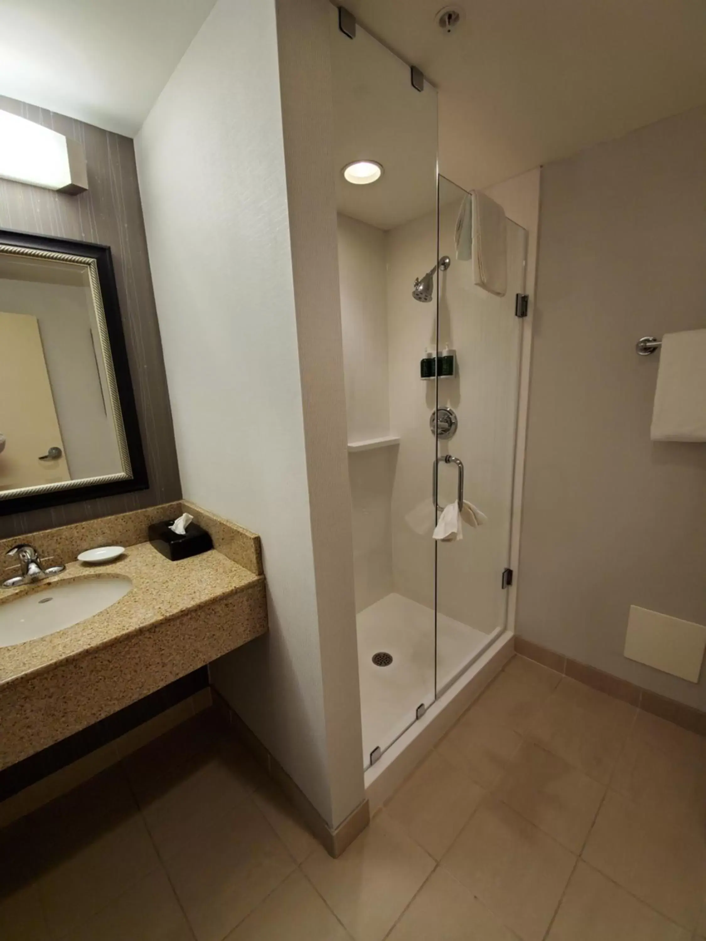 Shower, Bathroom in Courtyard by Marriott Hamilton