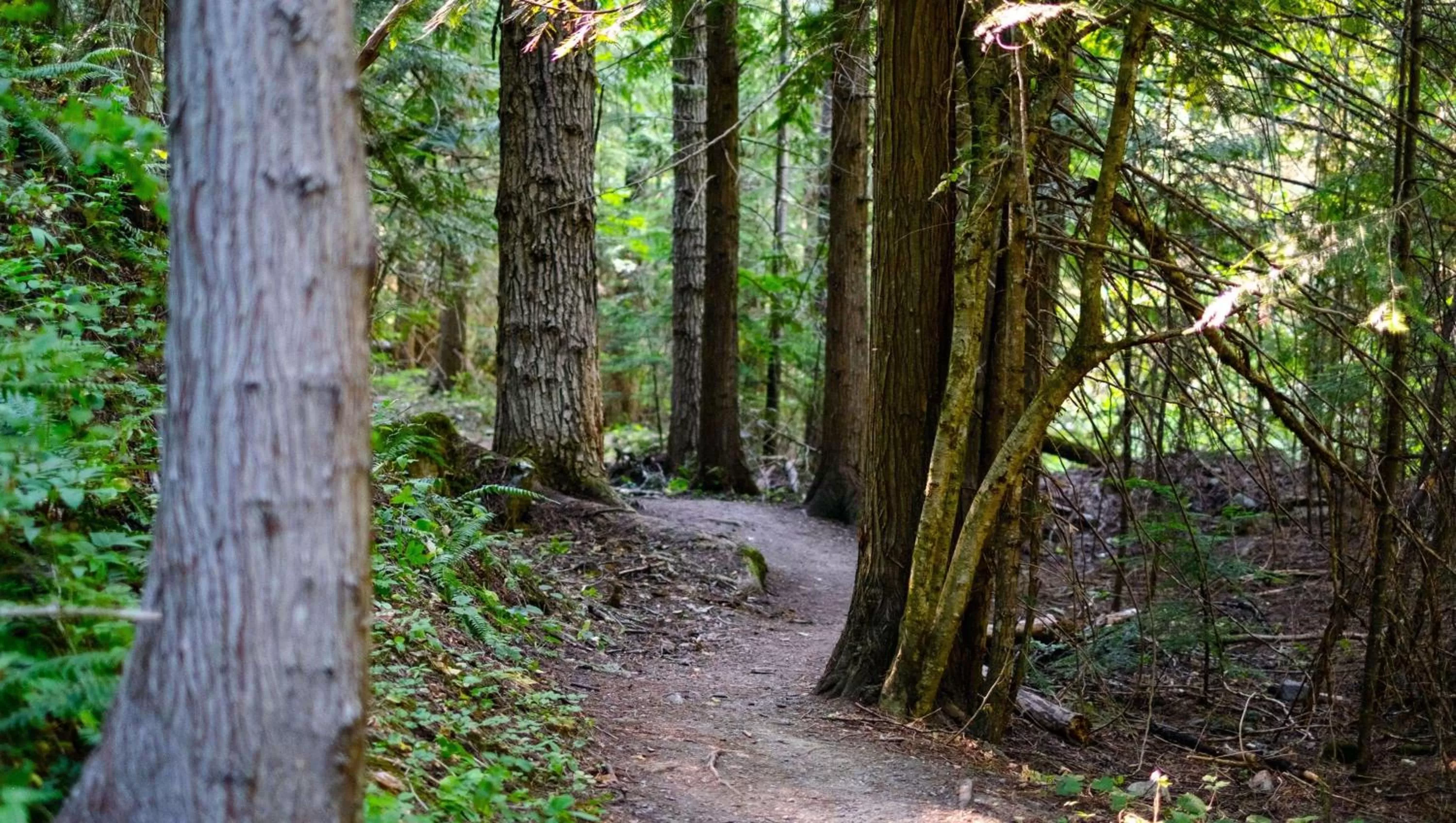 Nearby landmark in Stardust Motel Wallace