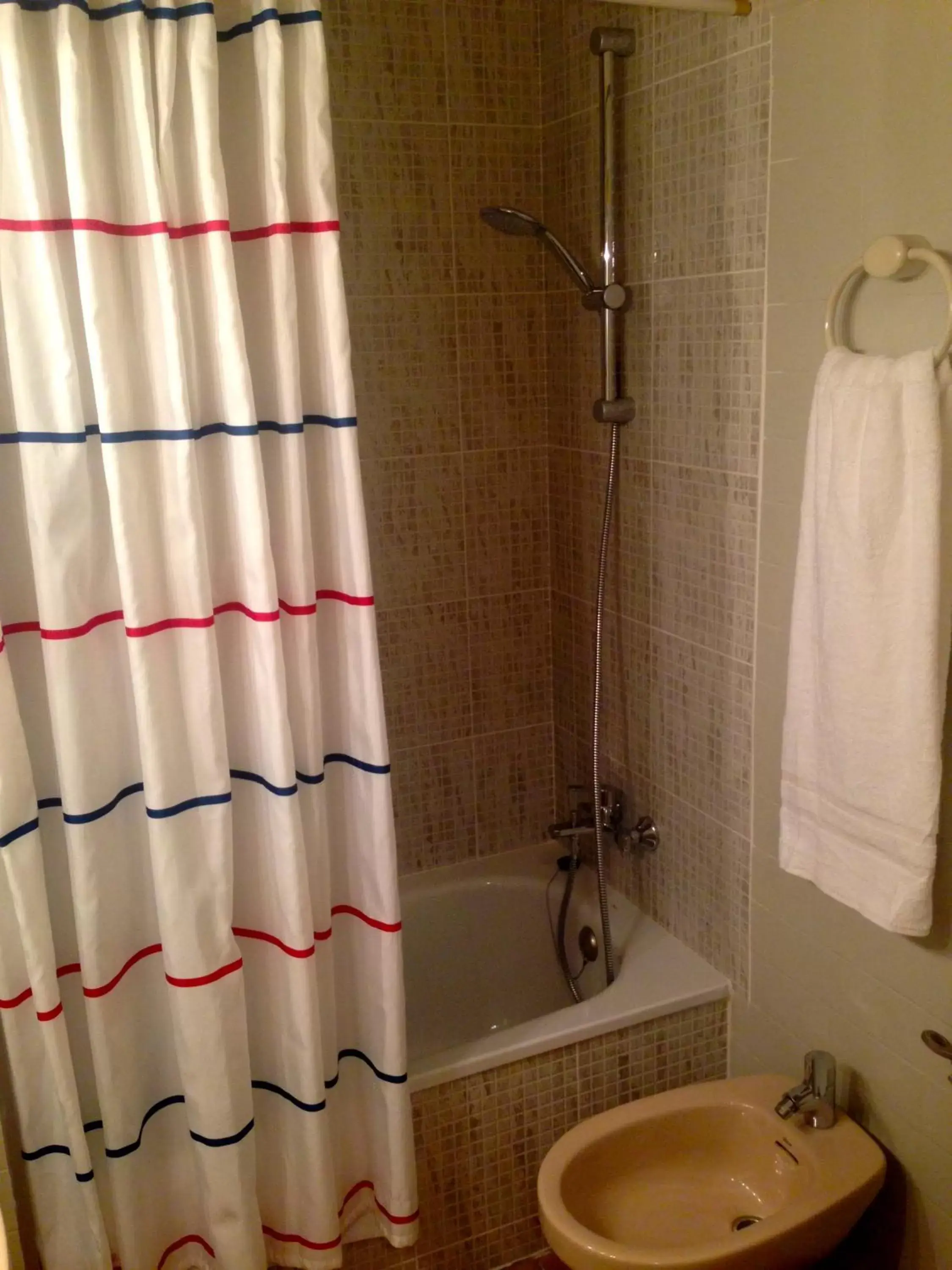Shower, Bathroom in Hotel Pelayo