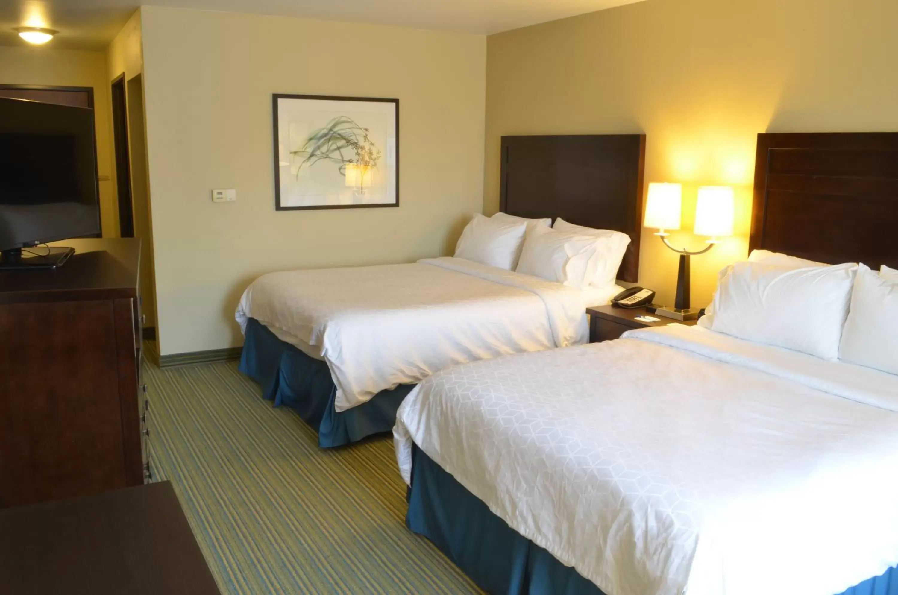 Photo of the whole room, Bed in Holiday Inn Express- Waterloo/Cedar Falls, an IHG Hotel