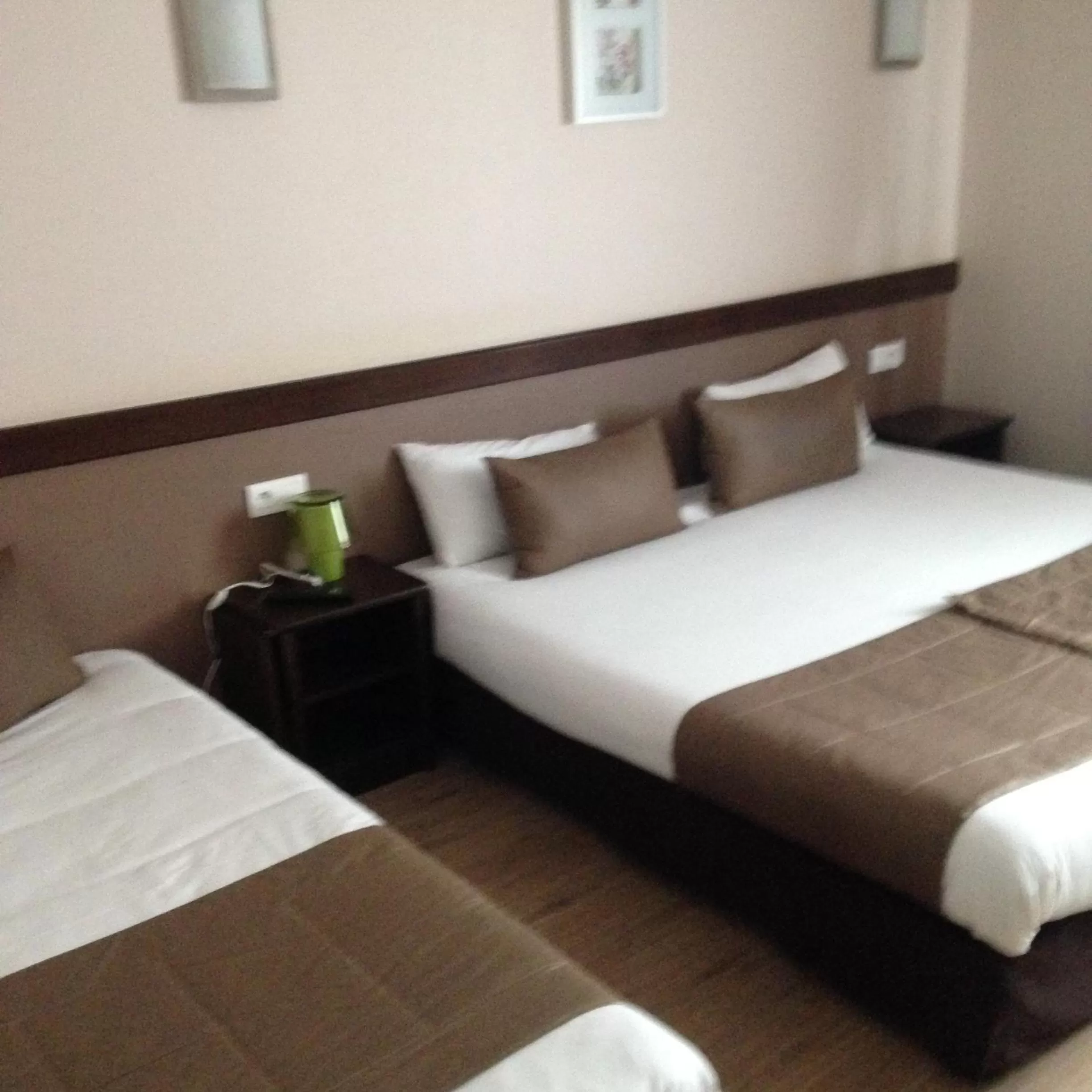 Bed in Hôtel Particulier VILLA DES MARAIS