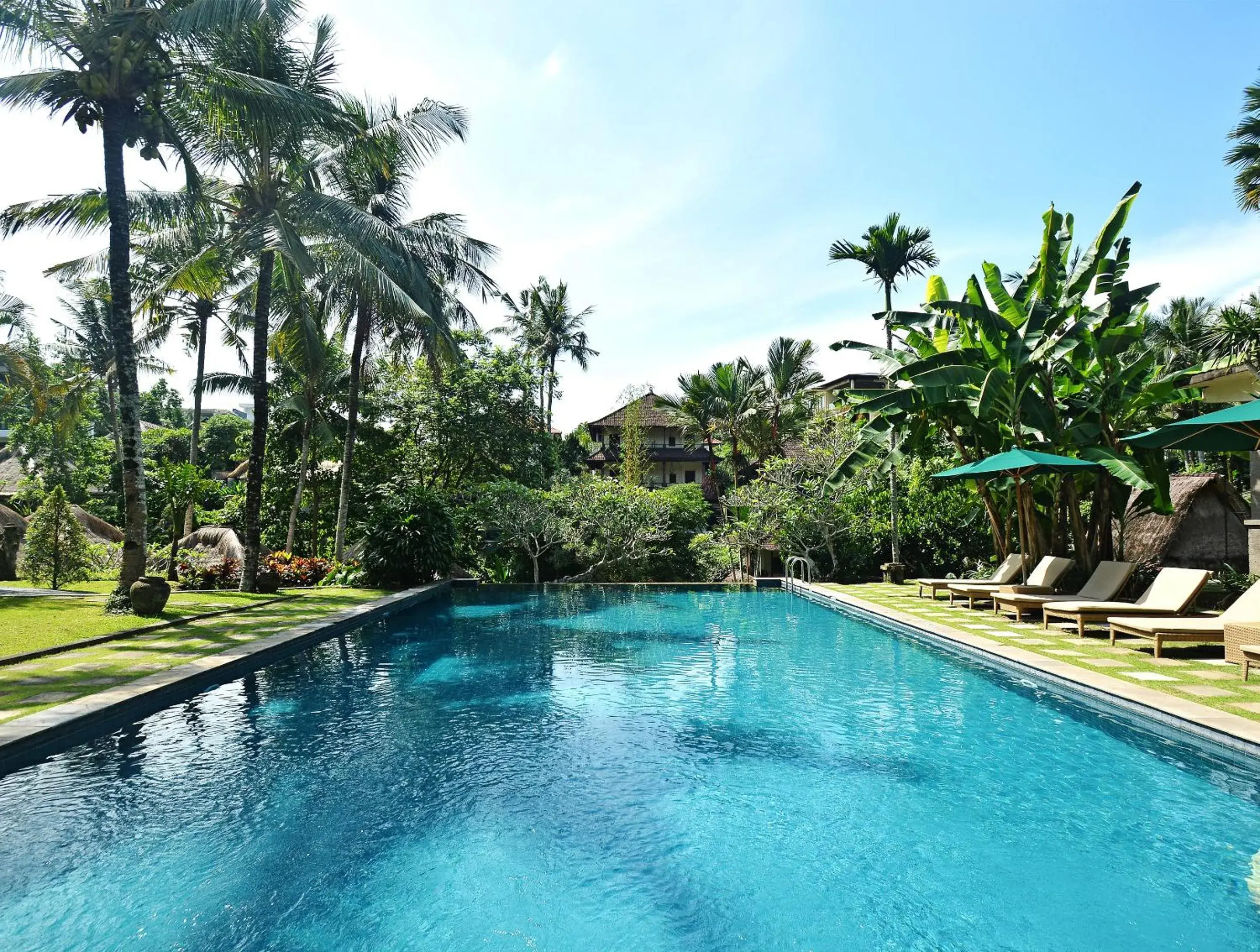 Day, Swimming Pool in Pertiwi Resort & Spa