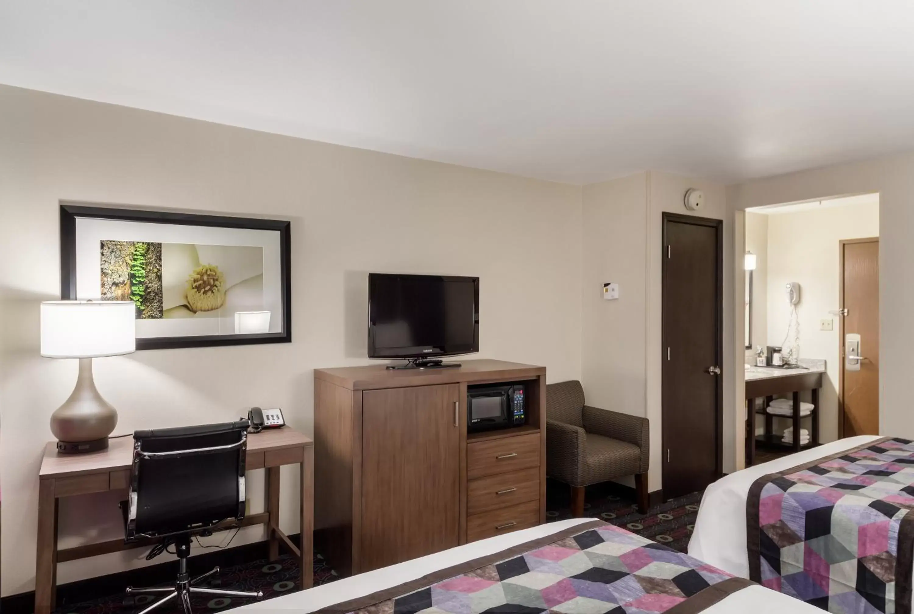 TV/Entertainment Center in Comfort Inn Midtown