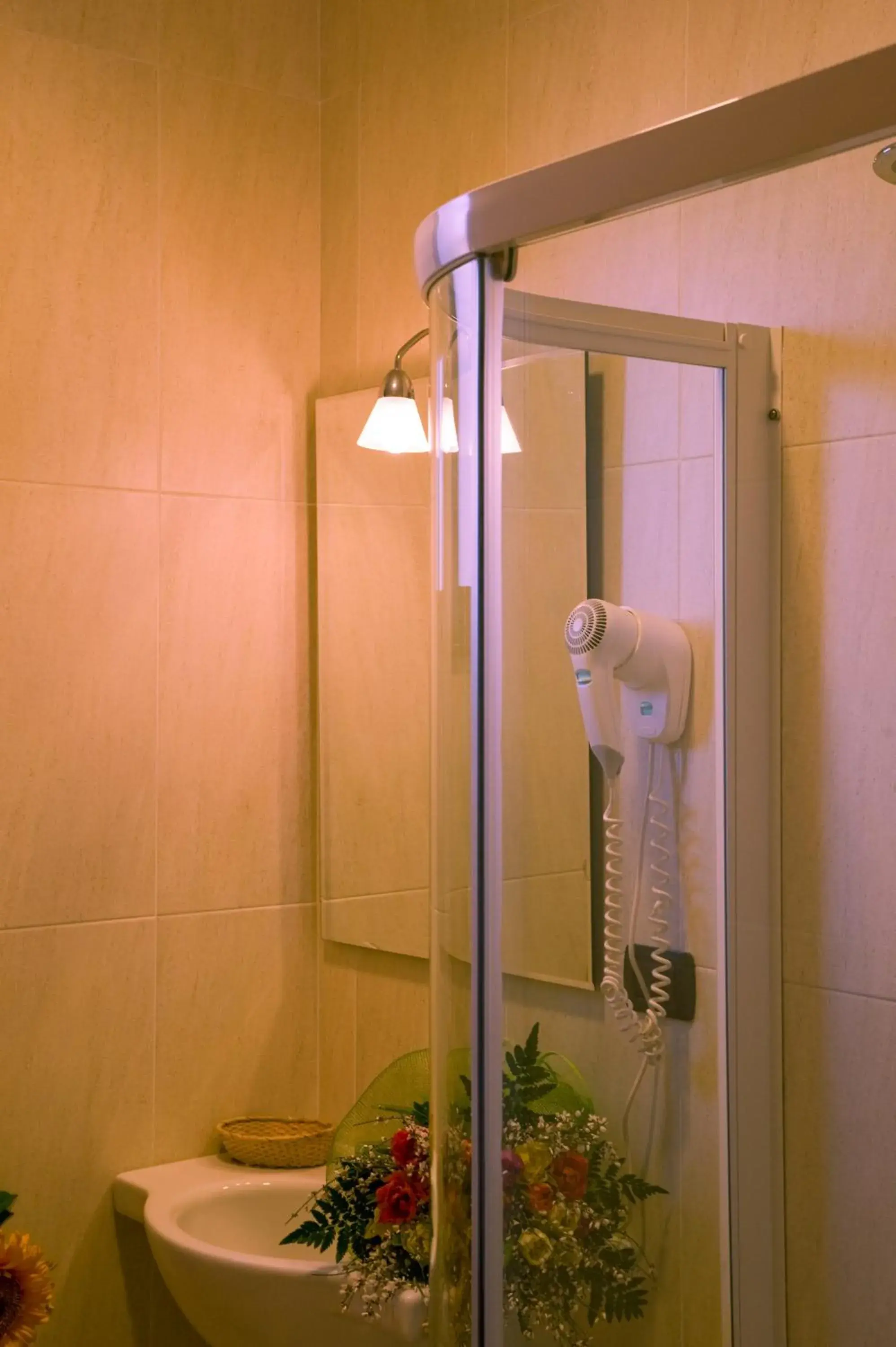 Toilet, Bathroom in Hotel Ristorante Tre Leoni