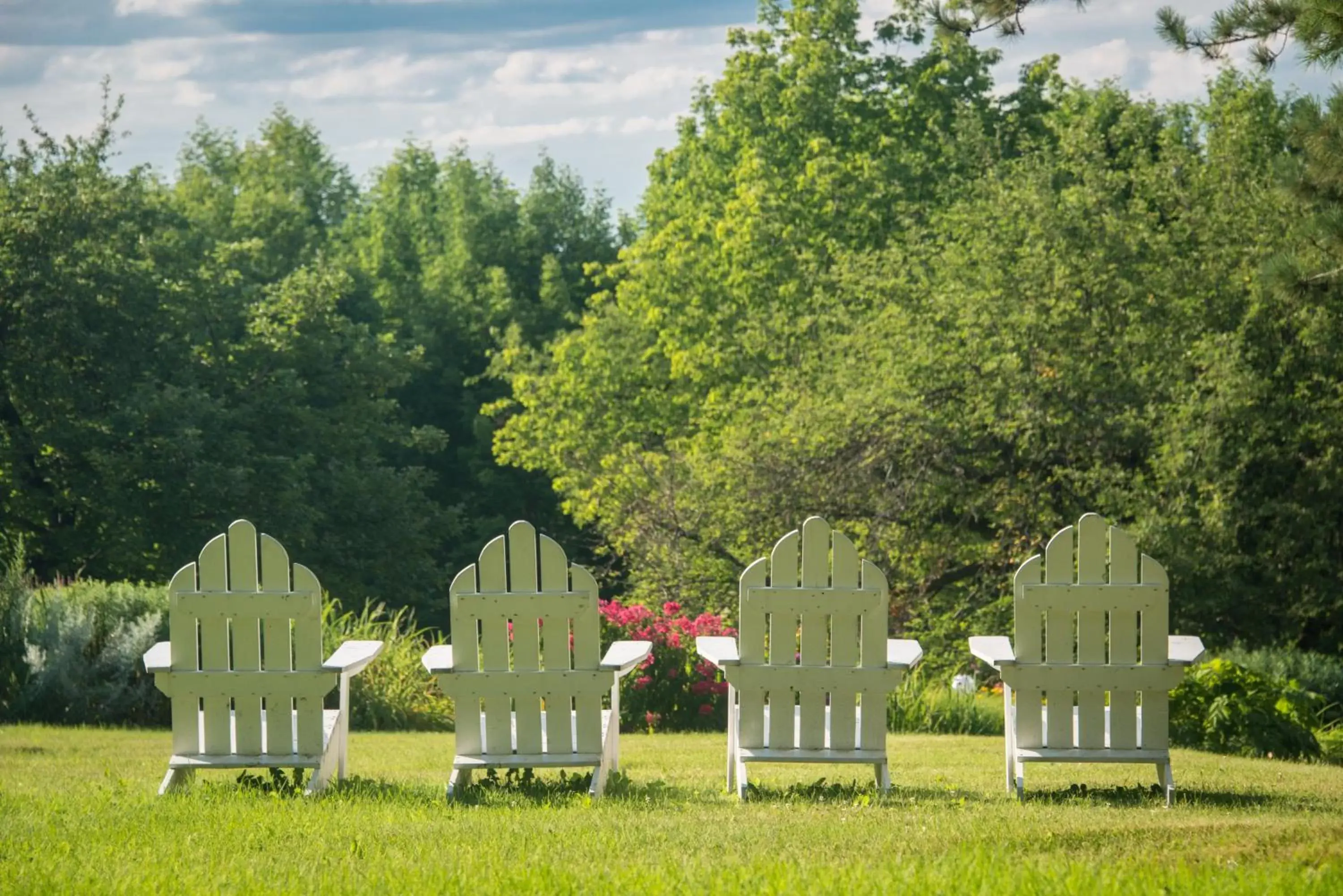 Natural landscape, Garden in Snowvillage Inn