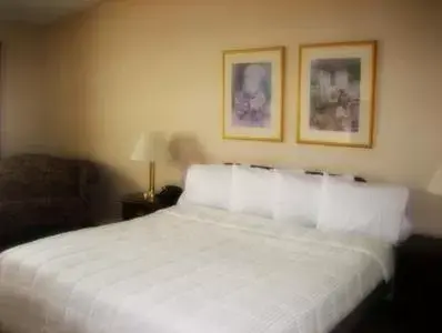 Bed in Inn at Arbor Ridge Hotel and Conference Center