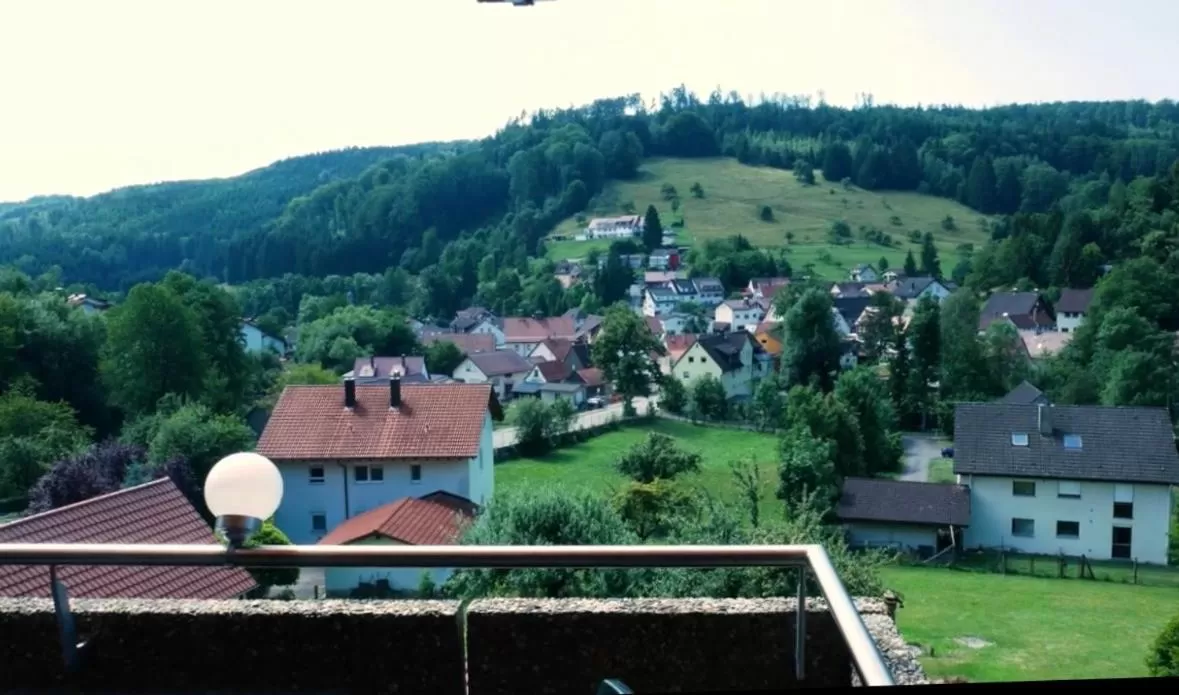Mountain View in Hotel Cafe Waldeck