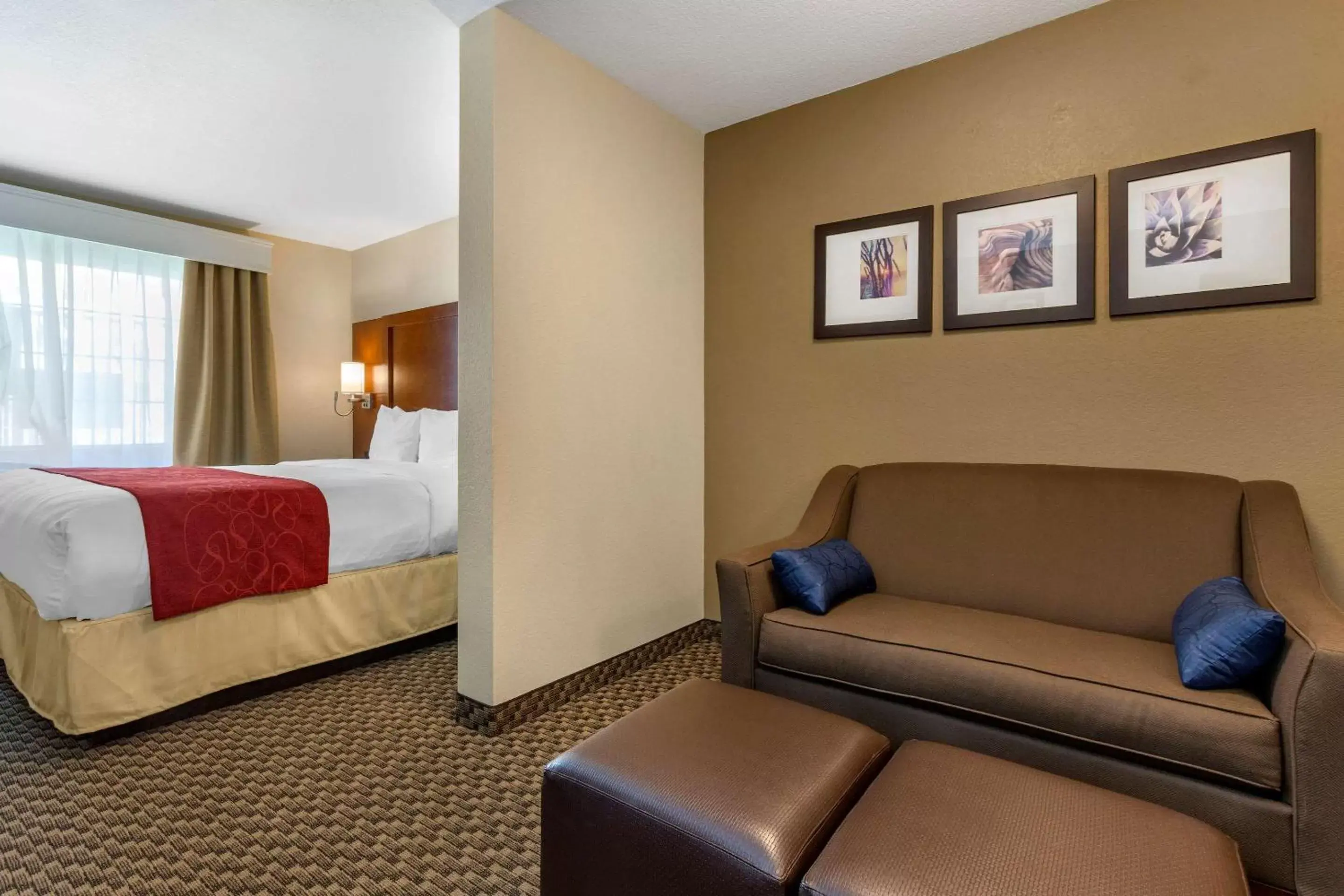 Photo of the whole room in Comfort Suites Phoenix Airport