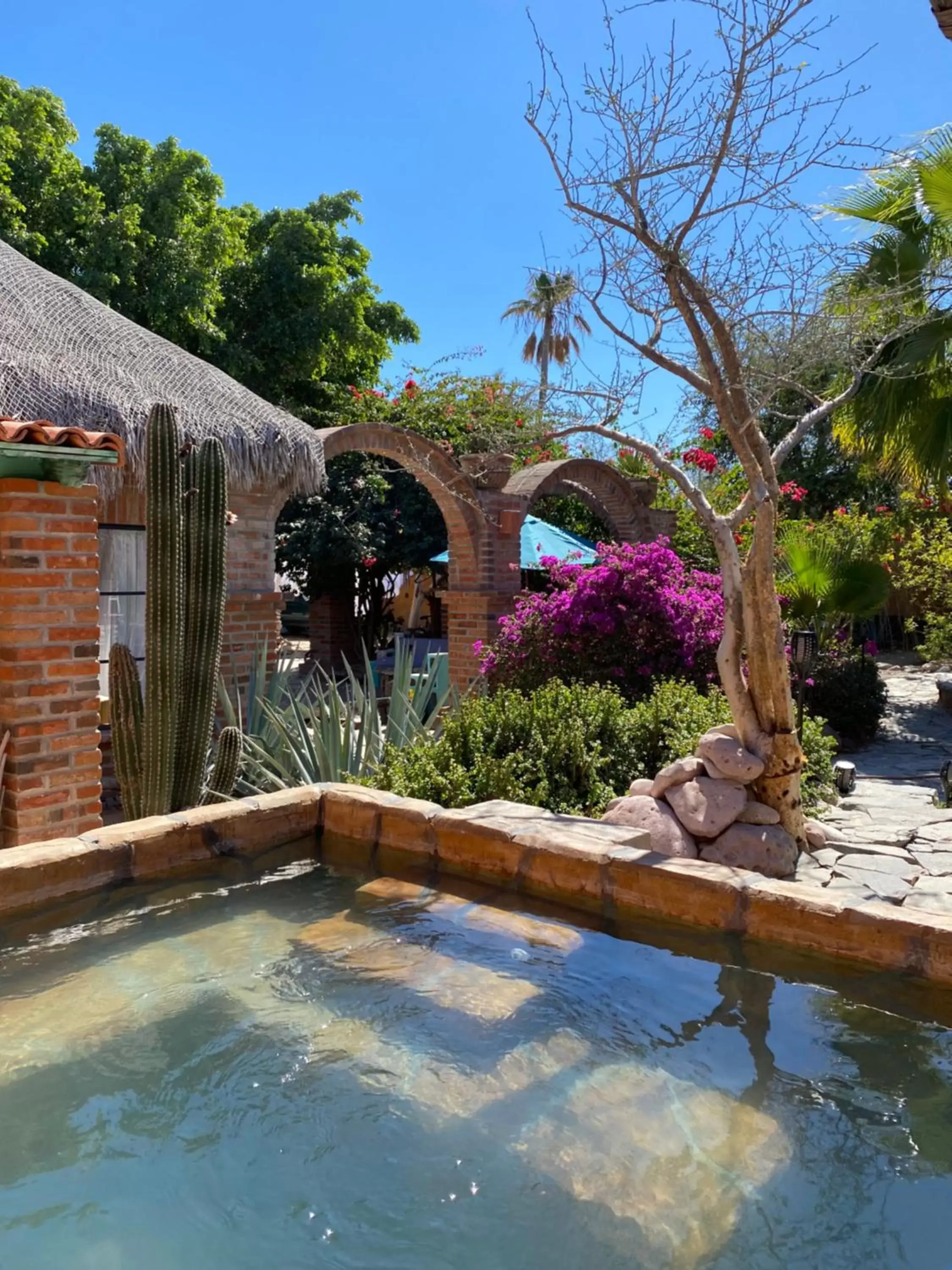 Swimming Pool in Casa Xochitl