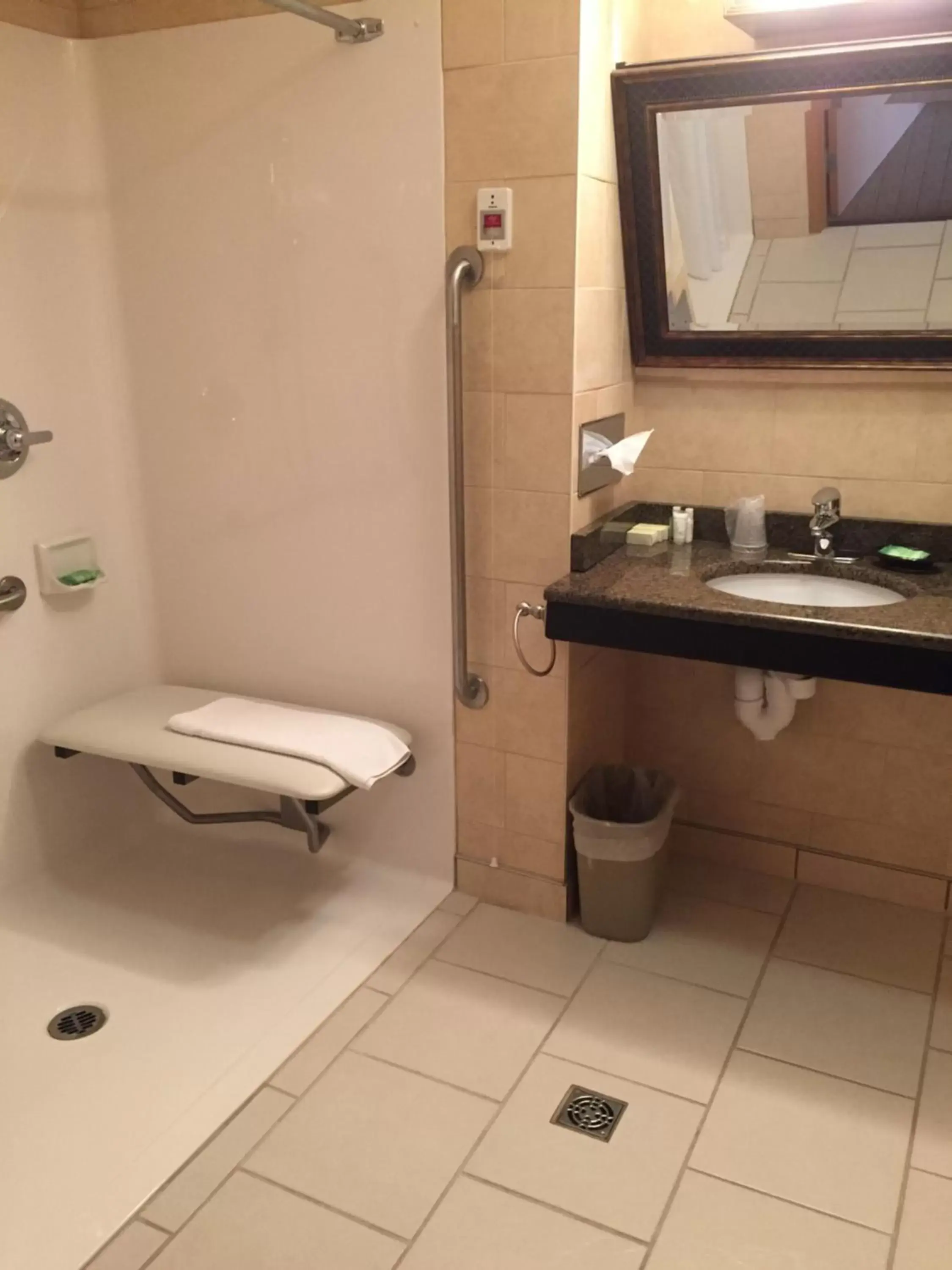 King Room with Roll-In Shower - Disability Access in Inn on Prince Hotel and Conference Centre Truro King Room with Roll-In Shower - Disability Access in Inn on Prince Hotel and Conference Centre Truro