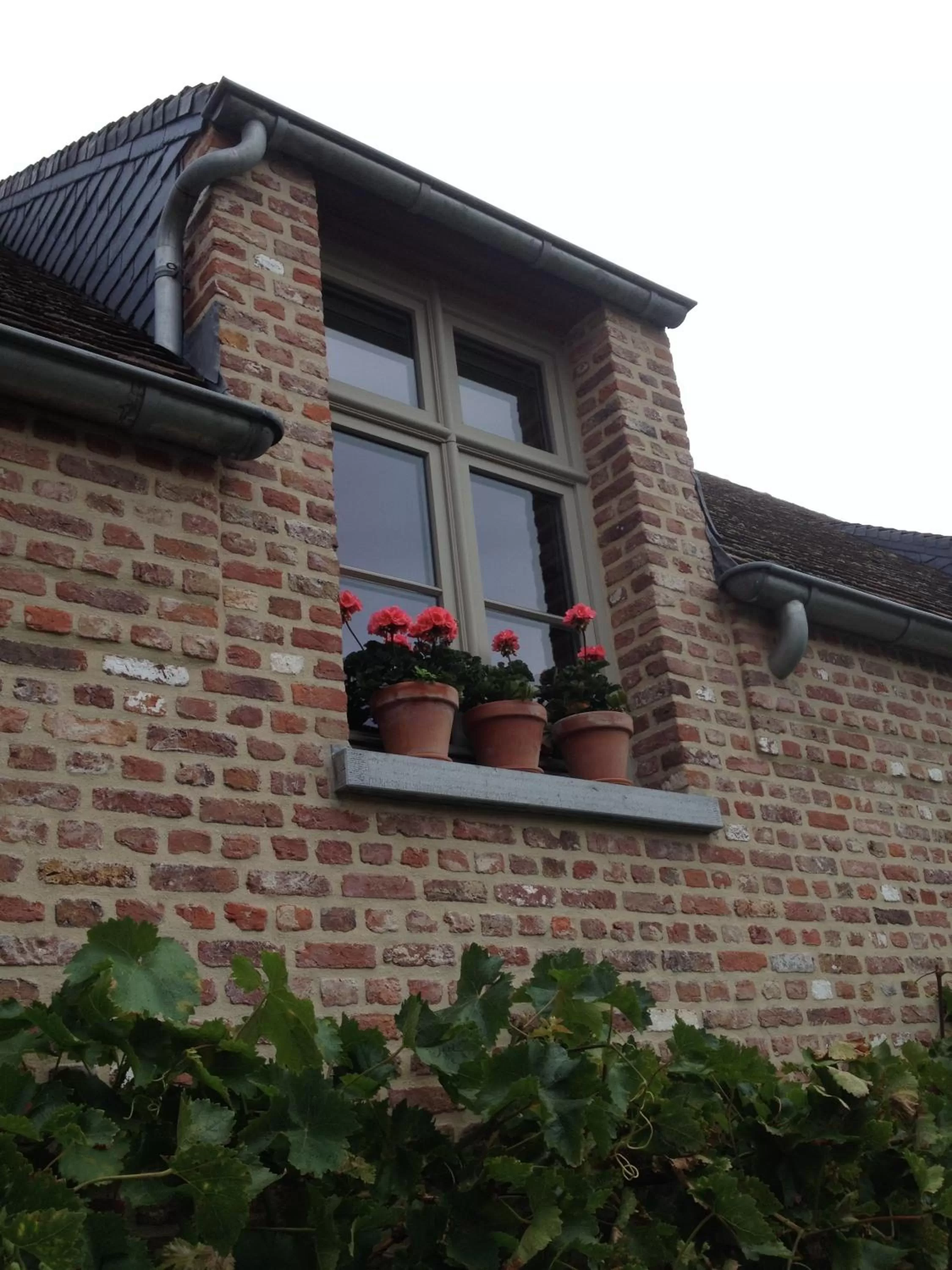 Spring, Property Building in Guesthouse Villa Vauban