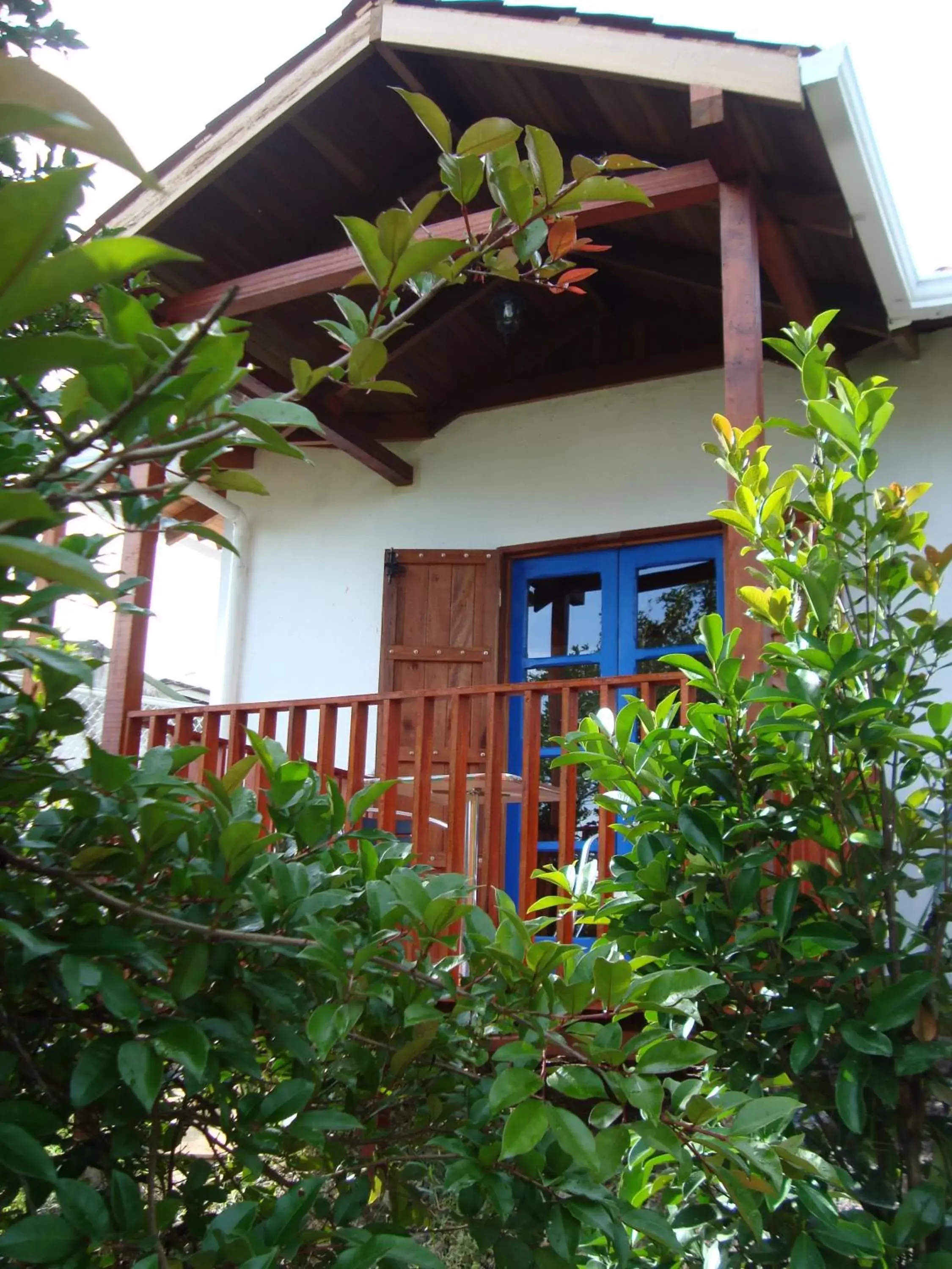 Decorative detail, Property Building in Orosi Lodge