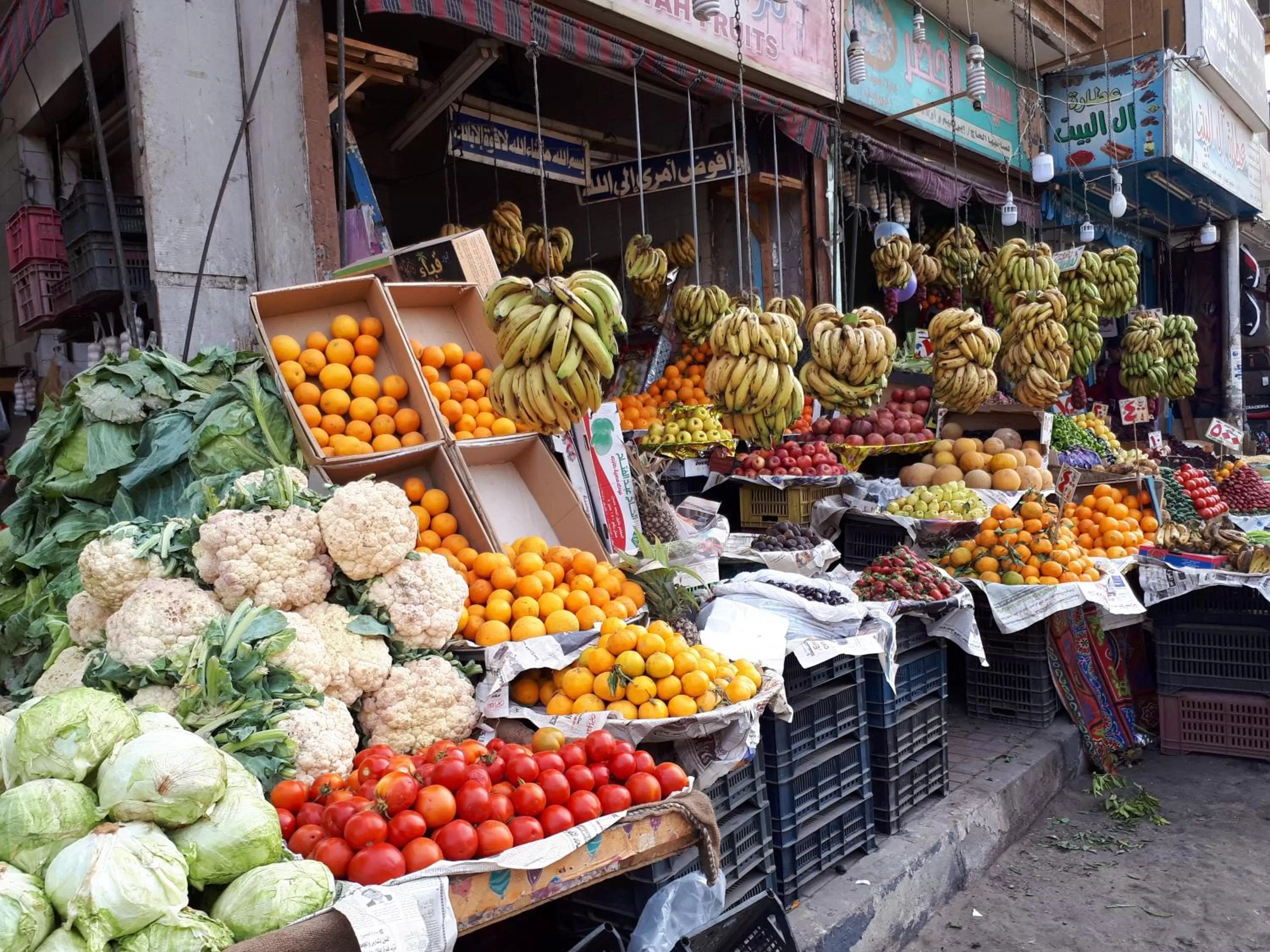 Sunflower Guest House Luxor West Bank