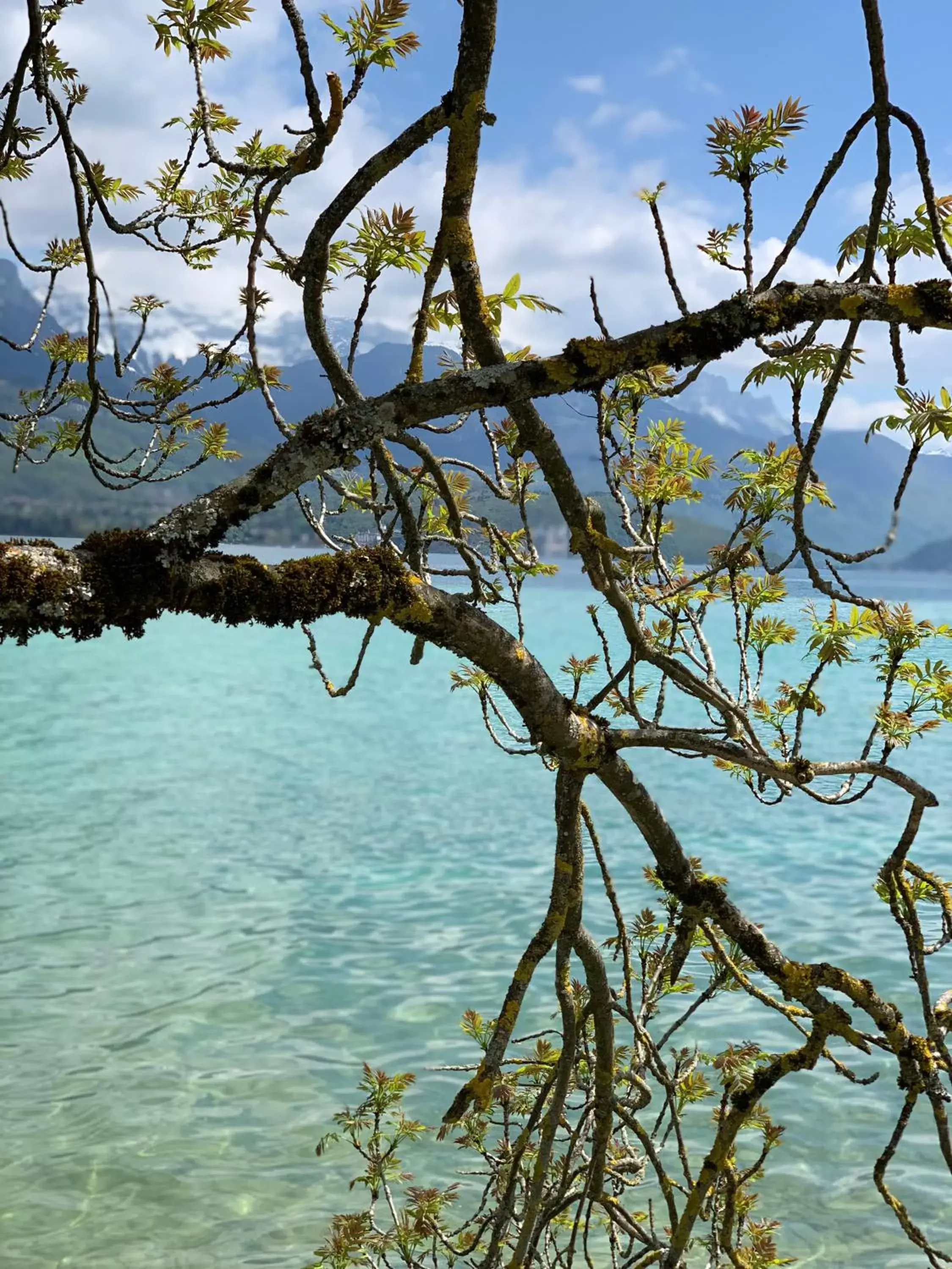 Natural landscape in Hôtel Beauregard, The Originals Relais (Inter-Hotel)