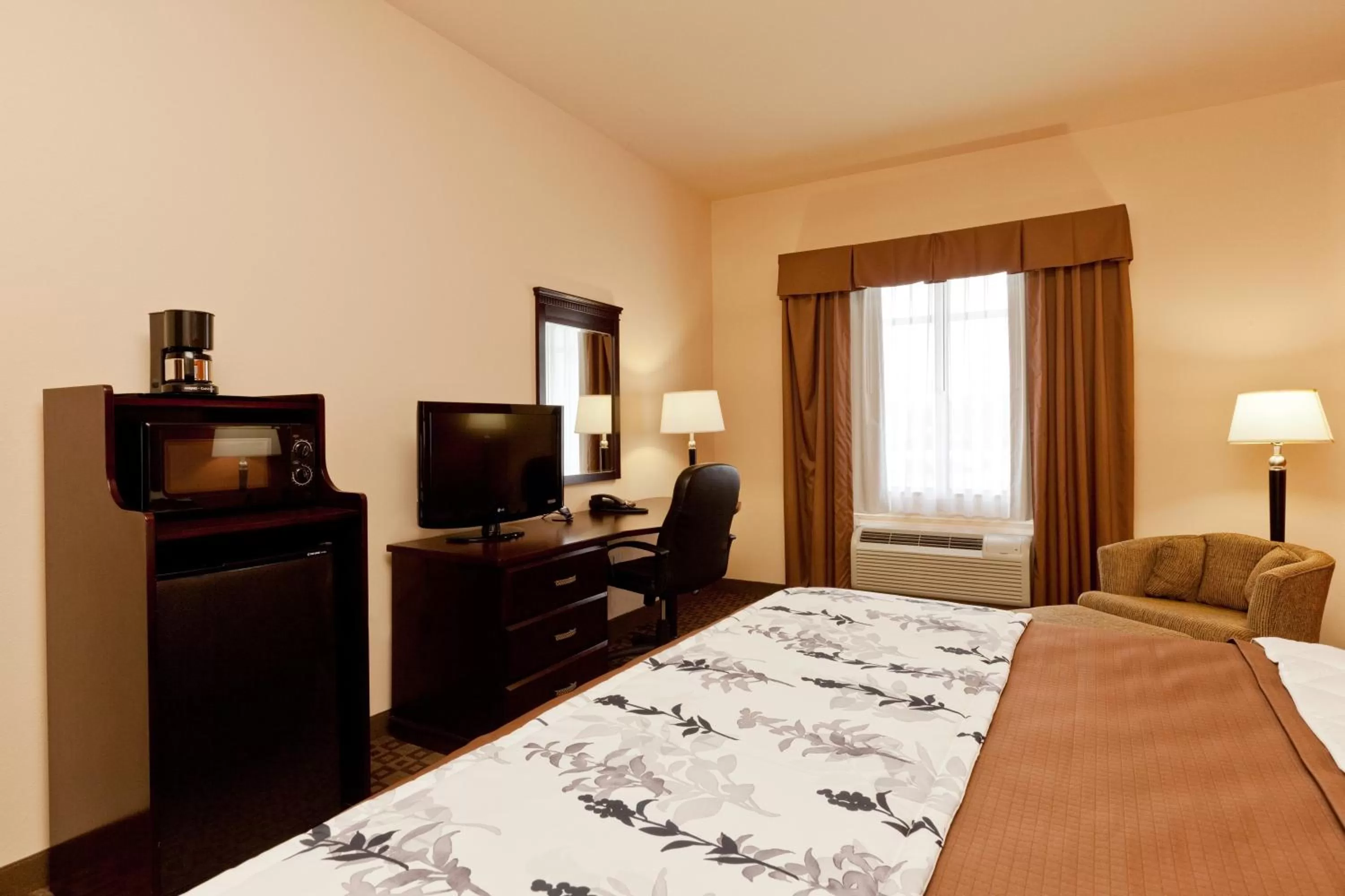 King Suite Ground Floor - Accessible/Non-Smoking in Sleep Inn & Suites Hwy 290-NW Freeway