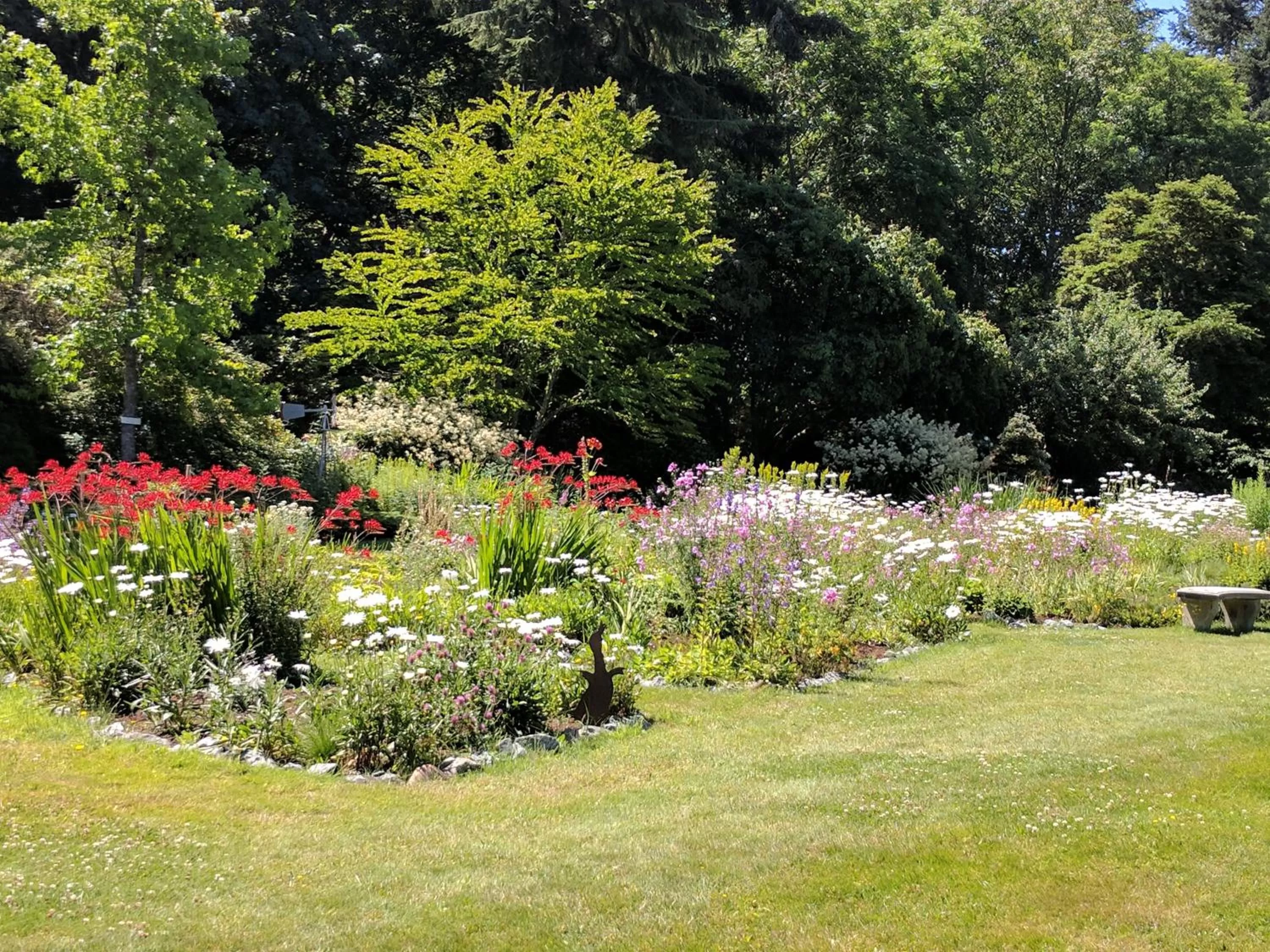 Spring in The Bluff on Whidbey
