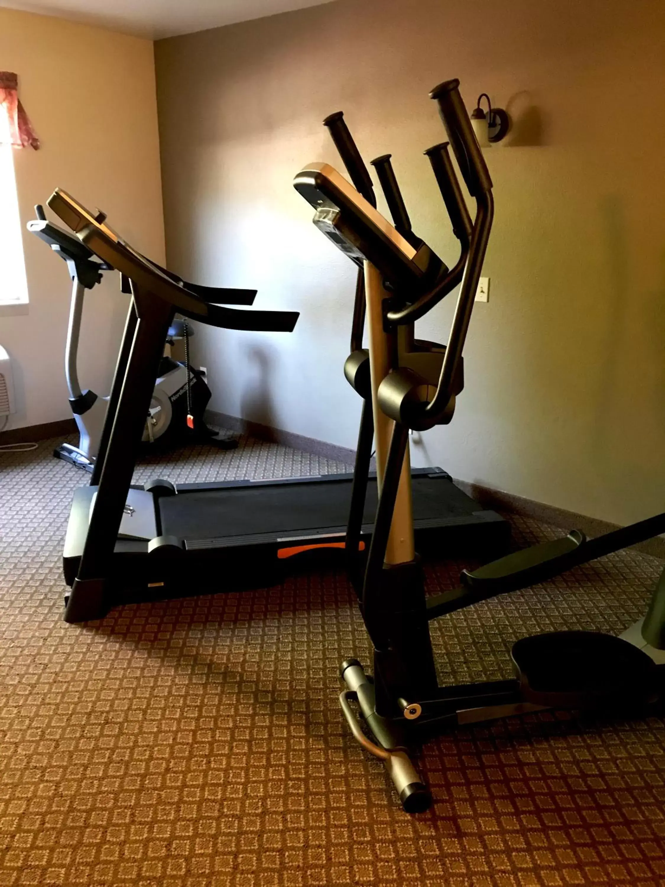 Fitness centre/facilities in FairBridge Inn & Suites Kellogg Fitness centre/facilities in FairBridge Inn & Suites Kellogg